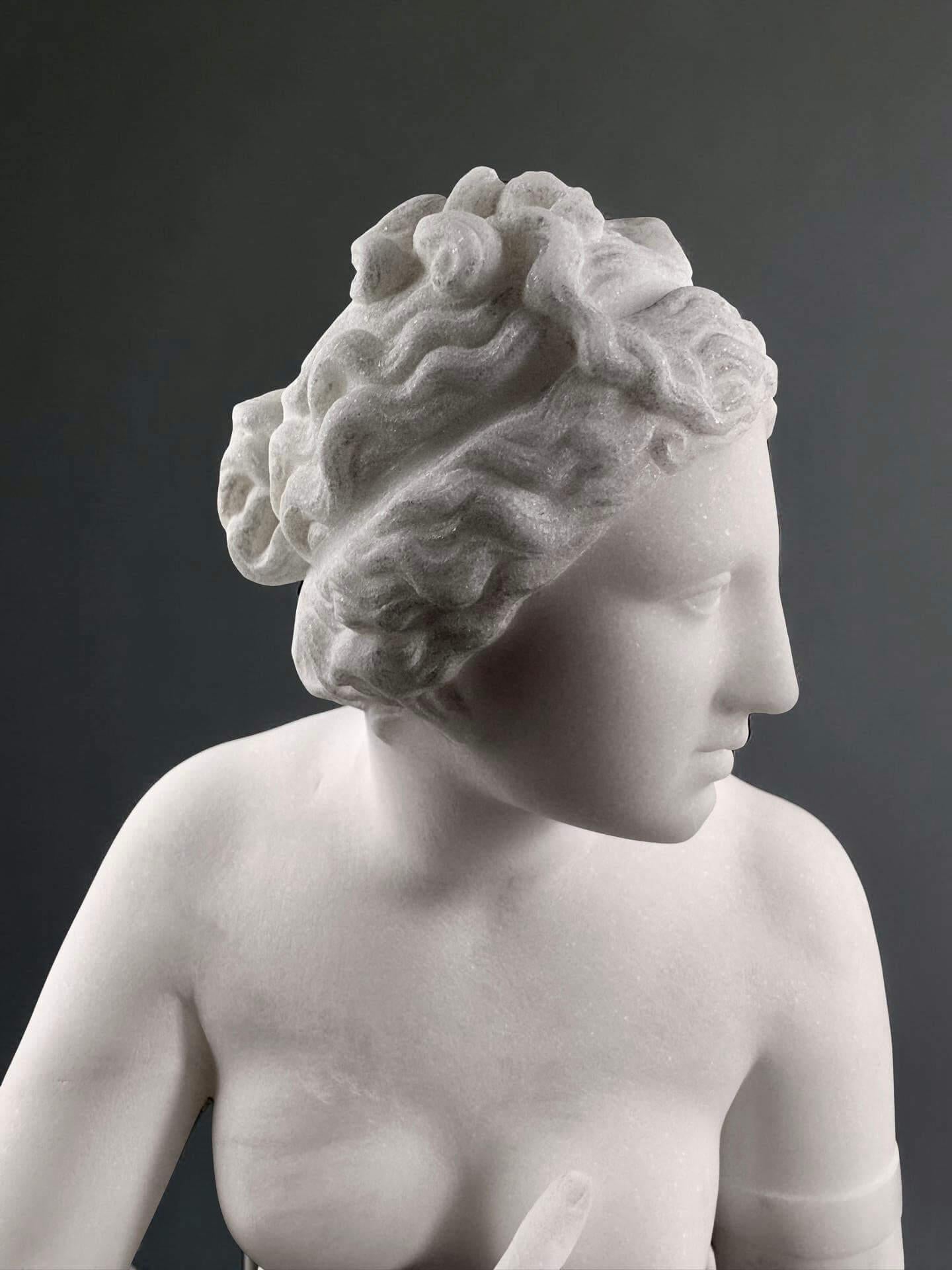 Sculpture en marbre blanc Vénus des Médicis Italie Florence milieu du XIXe siècle en vente 1