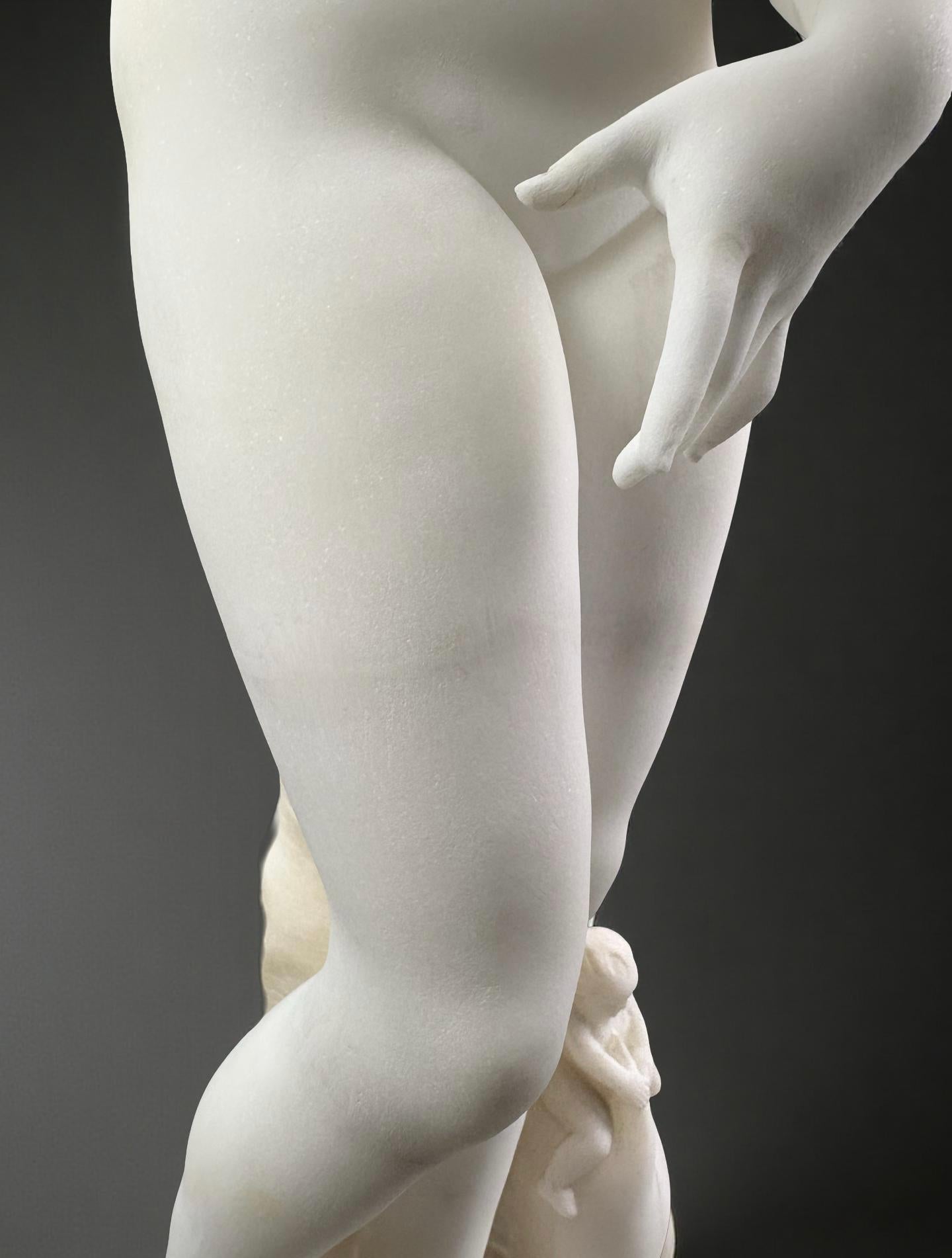 Sculpture en marbre blanc Vénus des Médicis Italie Florence milieu du XIXe siècle en vente 5