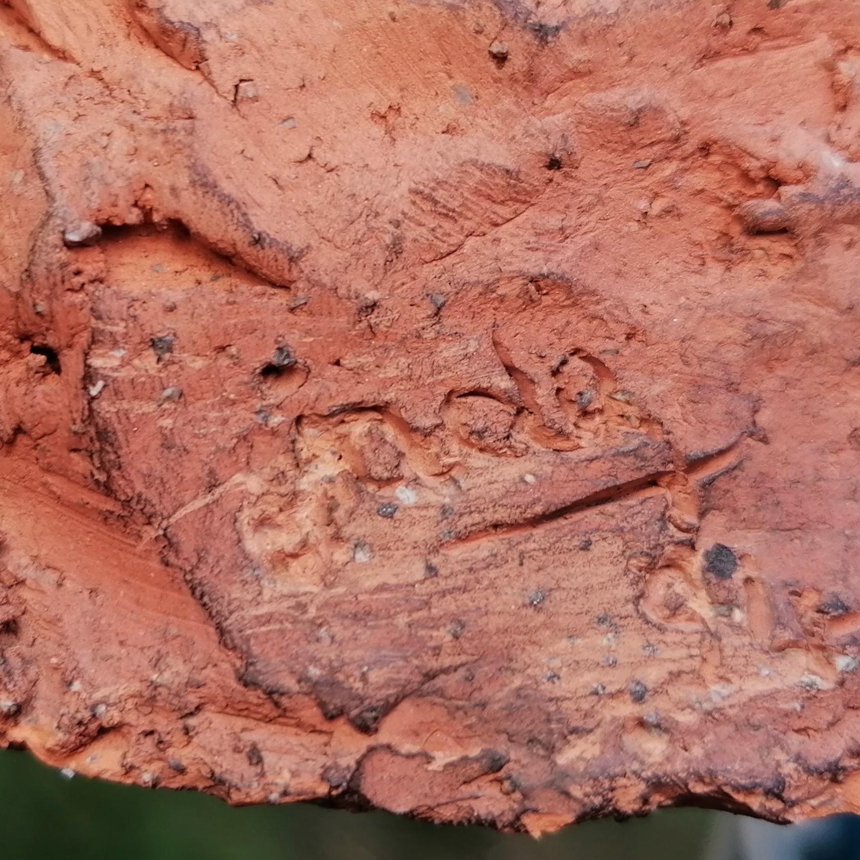 Scultura in Terracotta Nudo di Donna Scuola Moderna XX secolo 6