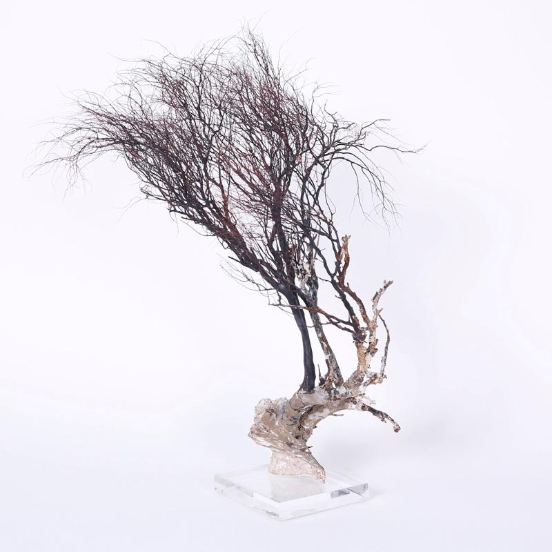 Sea Whip Specimen on Lucite - Sculpture by Unknown