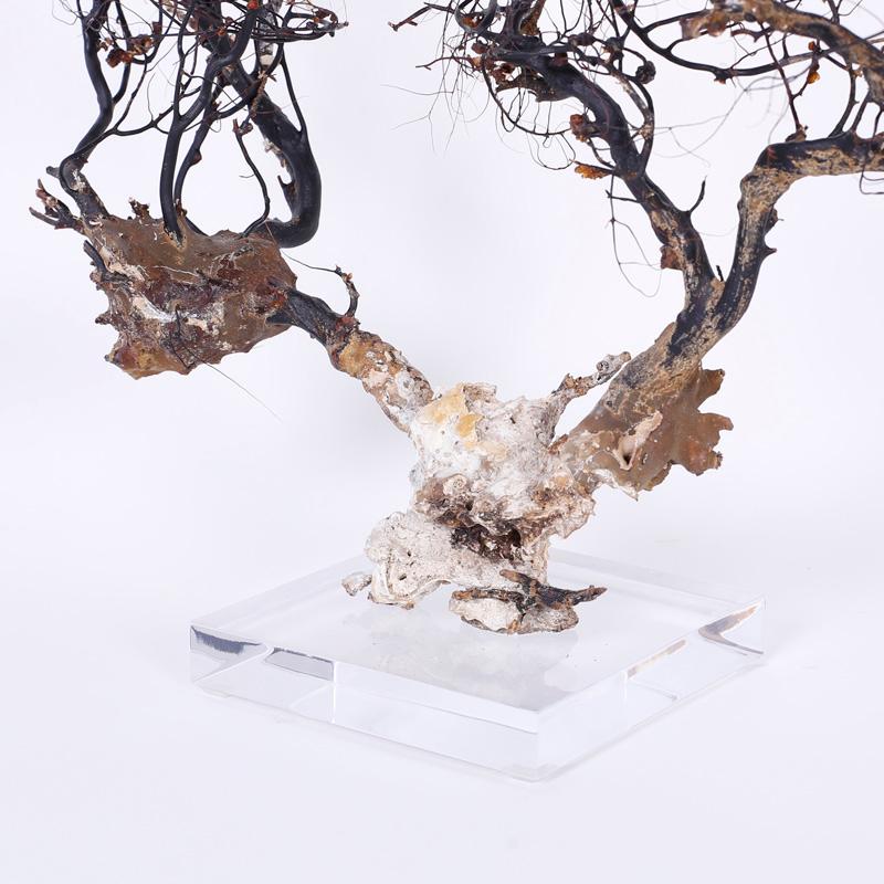 Sea Whip Specimen on Lucite - Abstract Sculpture by Unknown