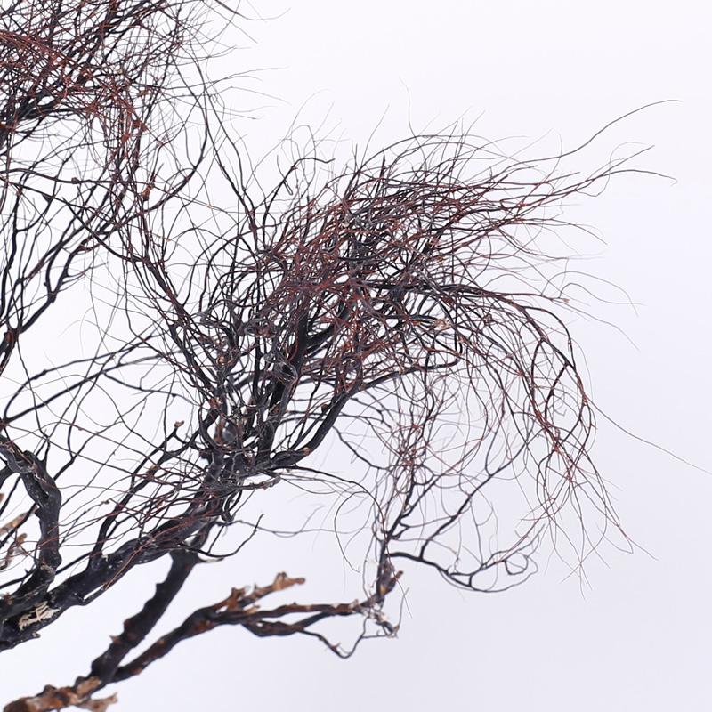 Lofty sea whip specimen, a testament to mother nature's sculptural powers with it's tree like form. Presented on custom Lucite base.