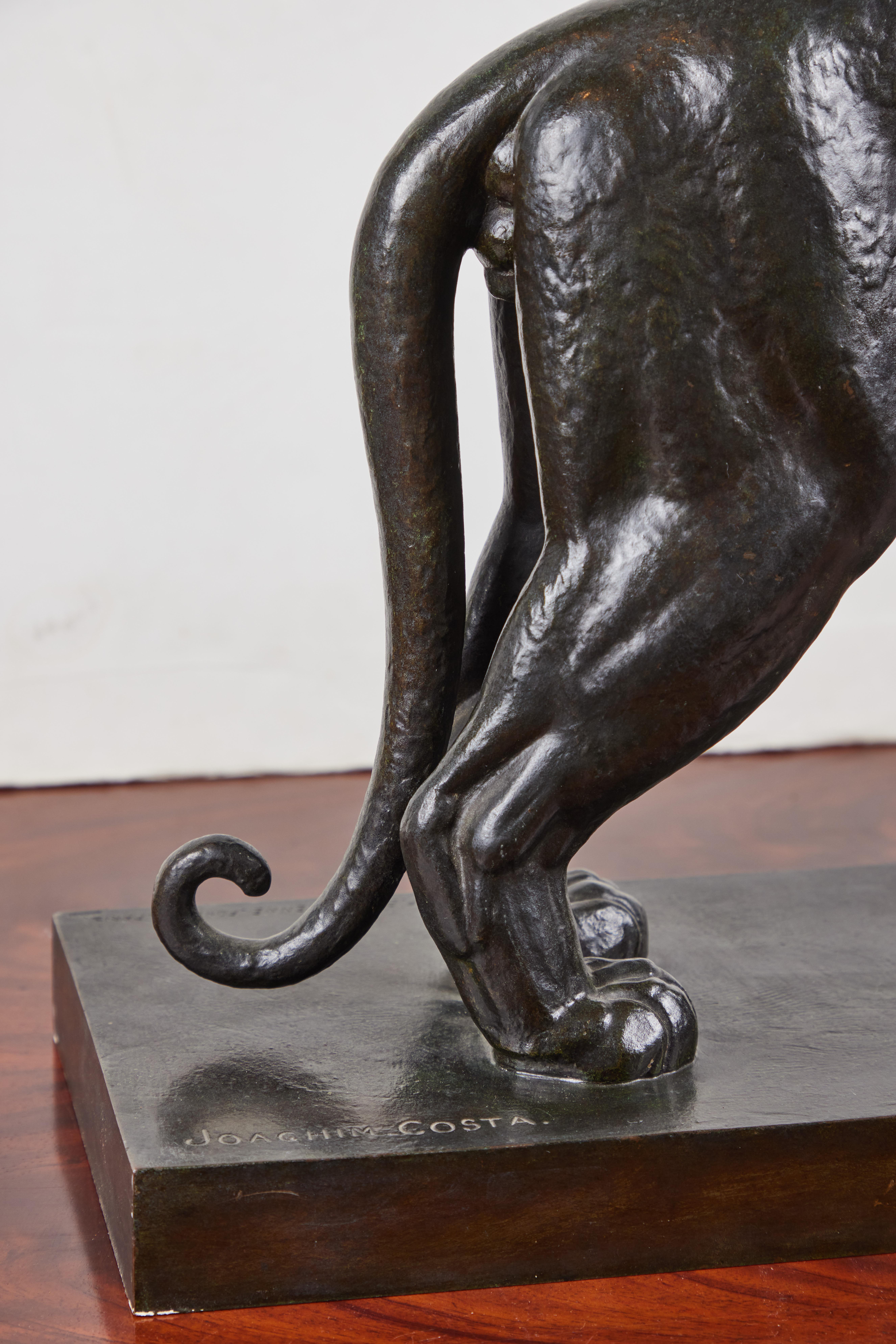 Tigre- A striking, vital, patinated cast bronze tiger by listed French artist, Joachim Costa (1888-1971). The piece is stamped with it's foundation location, the famed 
