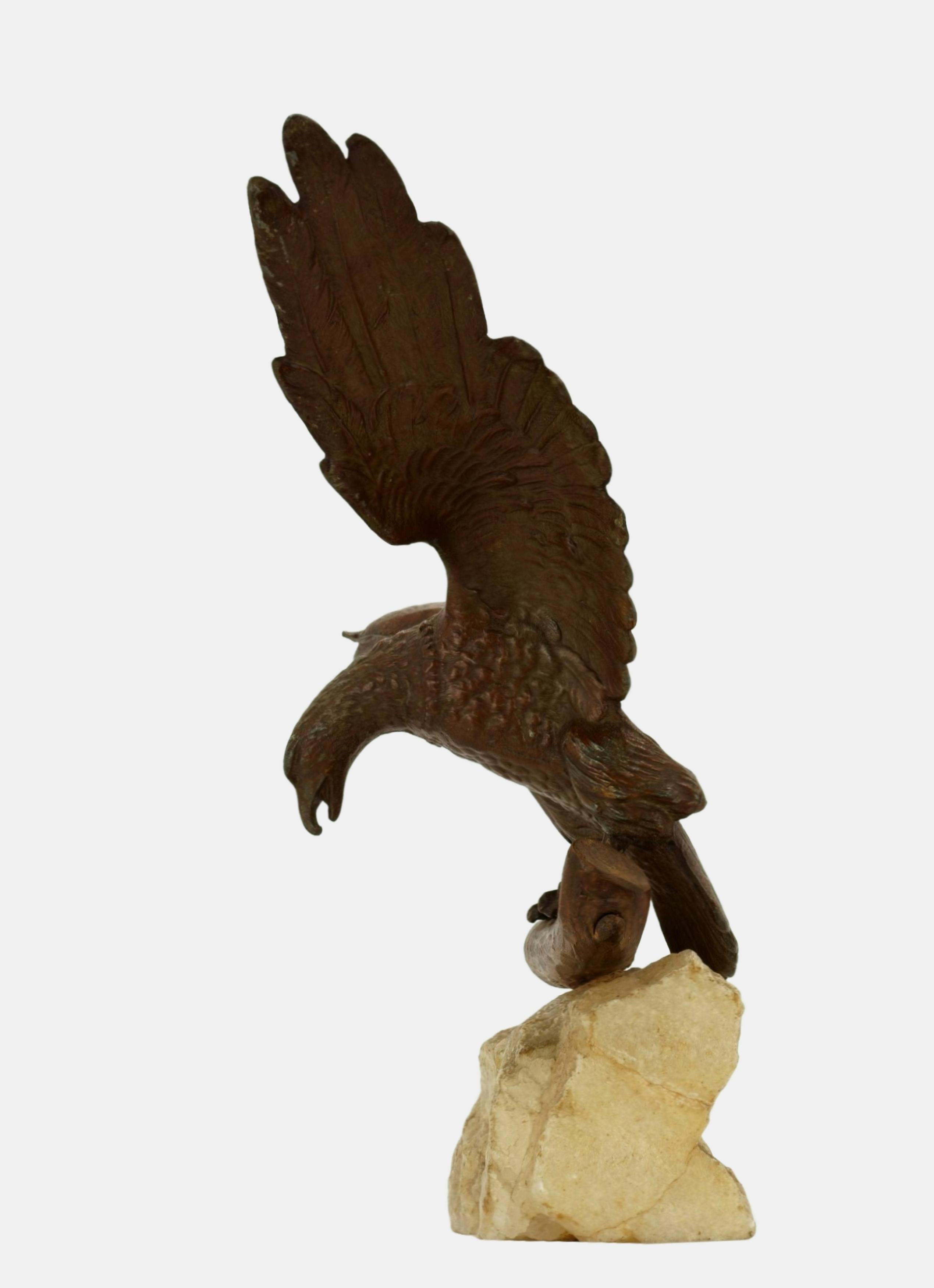 L'aquila che vola / - Con occhi d'aquila - - Sculpture Realismo di Unknown