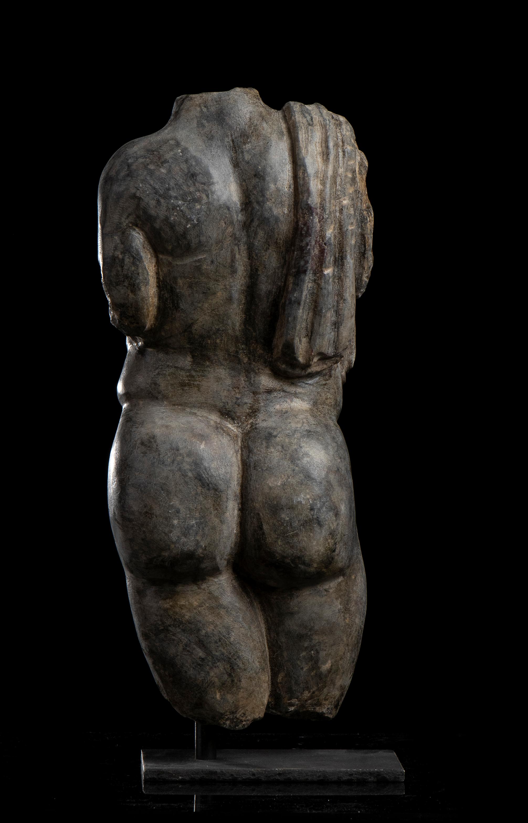 Specimen Gray Marble Torso Sculpture of Nude Man Classical Roman Grand Tour 19th 3