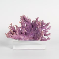 Abstract Sculptures