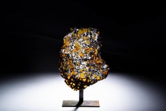 Spectacular Meteorite Specimen