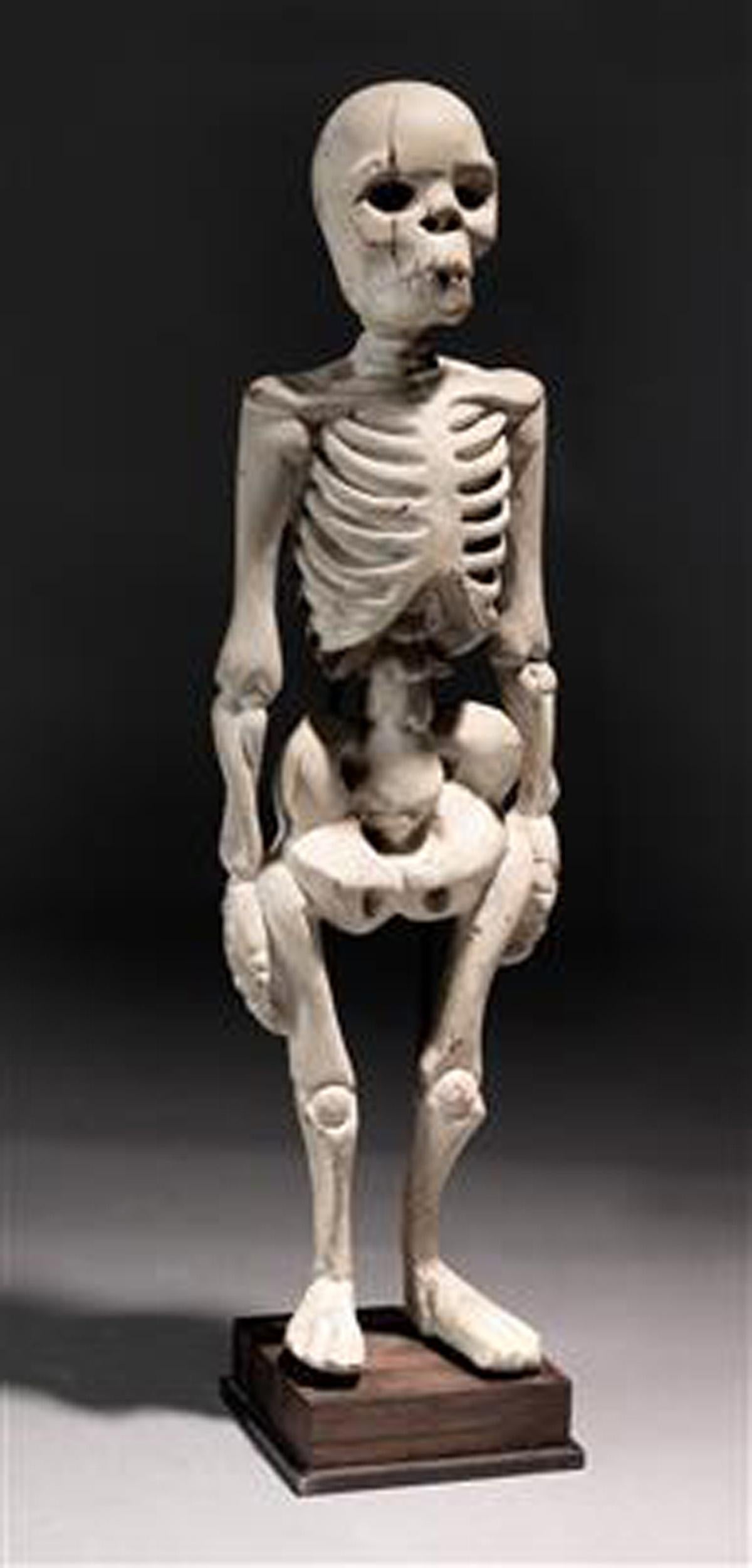 The highly expressive wooden skeleton was carved and polychromed in the early 20th century in Burma, today's Myanmar. Unlike many sculptures from that region, his one is not directly based on Buddhist iconography. 