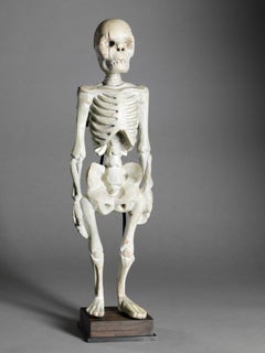 Vintage Standing Human Skeleton in Wood, South East Asia