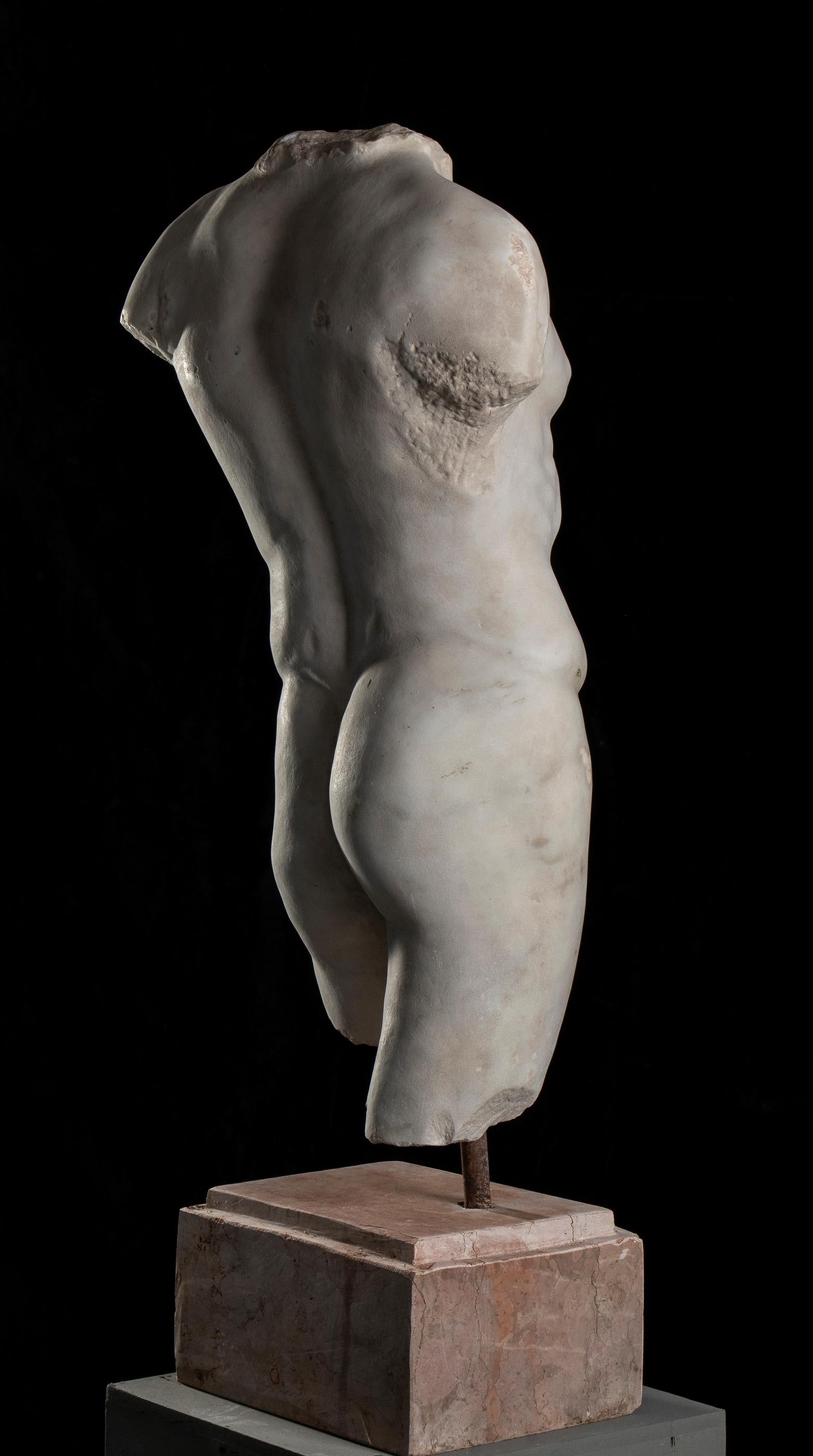 Statuary Italian Marble Sculpture of Torso Classical Roman of Athlete or God  - Black Nude Sculpture by Unknown