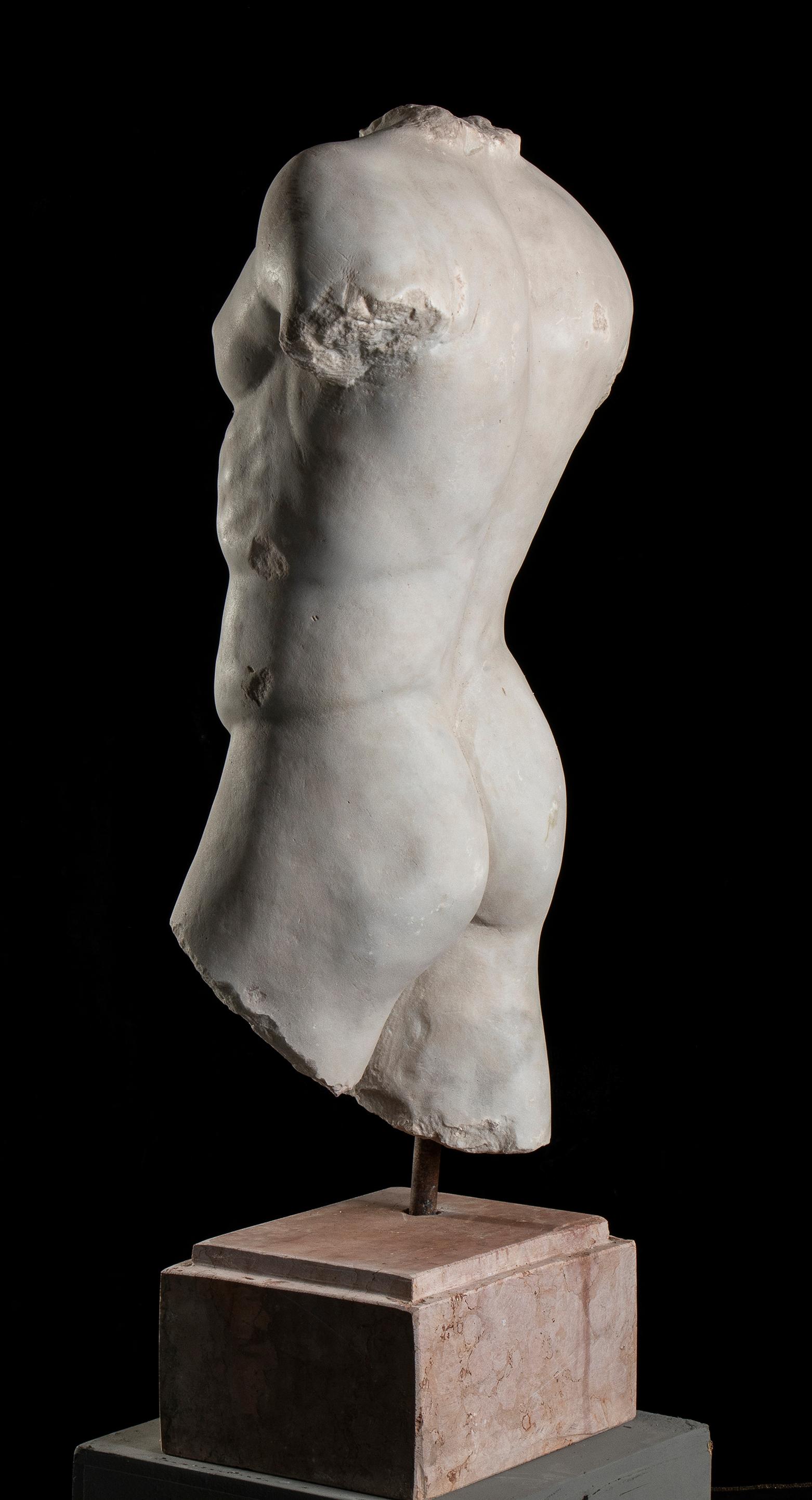 Statuary Italian Marble Sculpture of Torso Classical Roman of Athlete or God  1