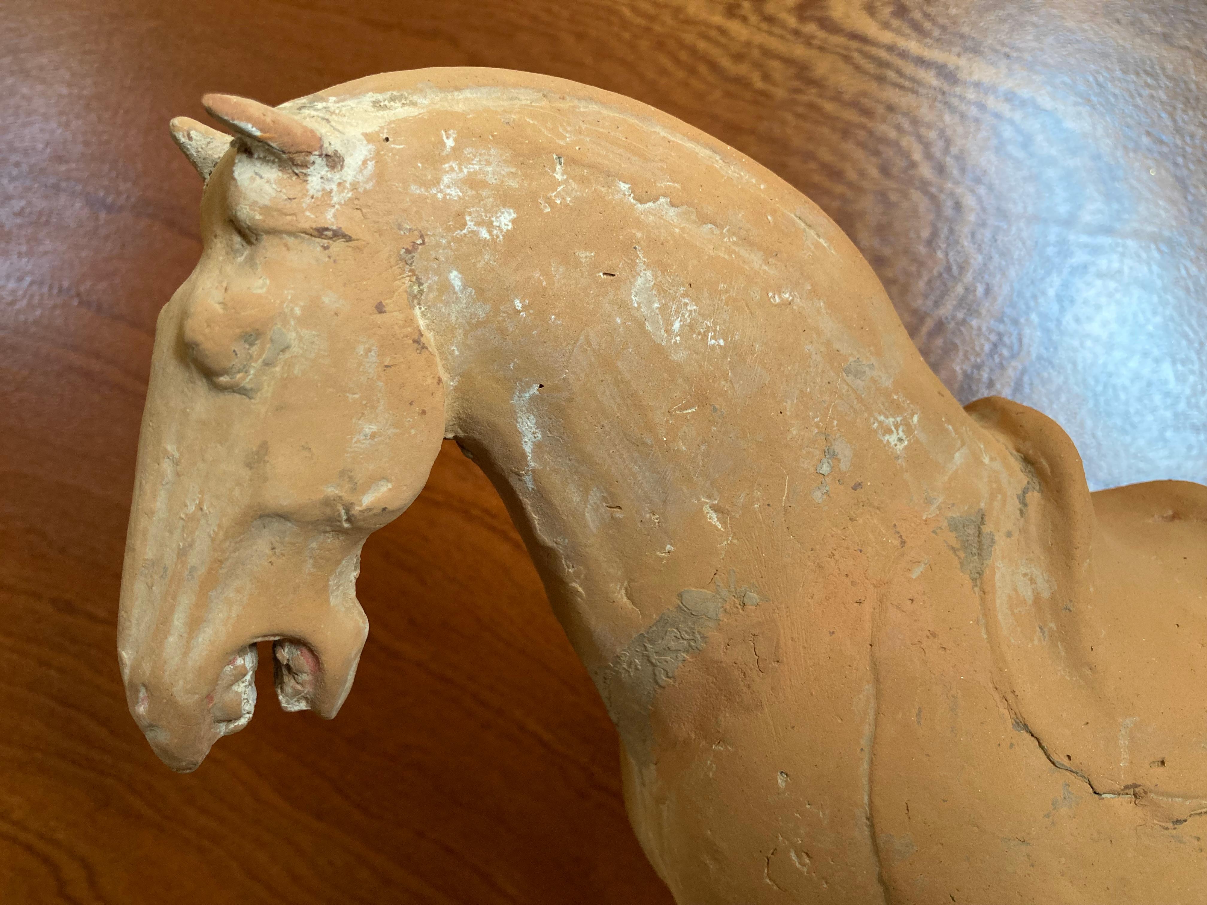 Ein hervorragendes Terrakotta-Figurenpaar aus der Han-Dynastie, ein Pferd mit seinem Begleiter, in hervorragendem Zustand. Ex. Sammlung Hamrick, New Orleans. Sie haben es 1993 in Hongkong gekauft, bevor es an China übergeben wurde, und es wird mit