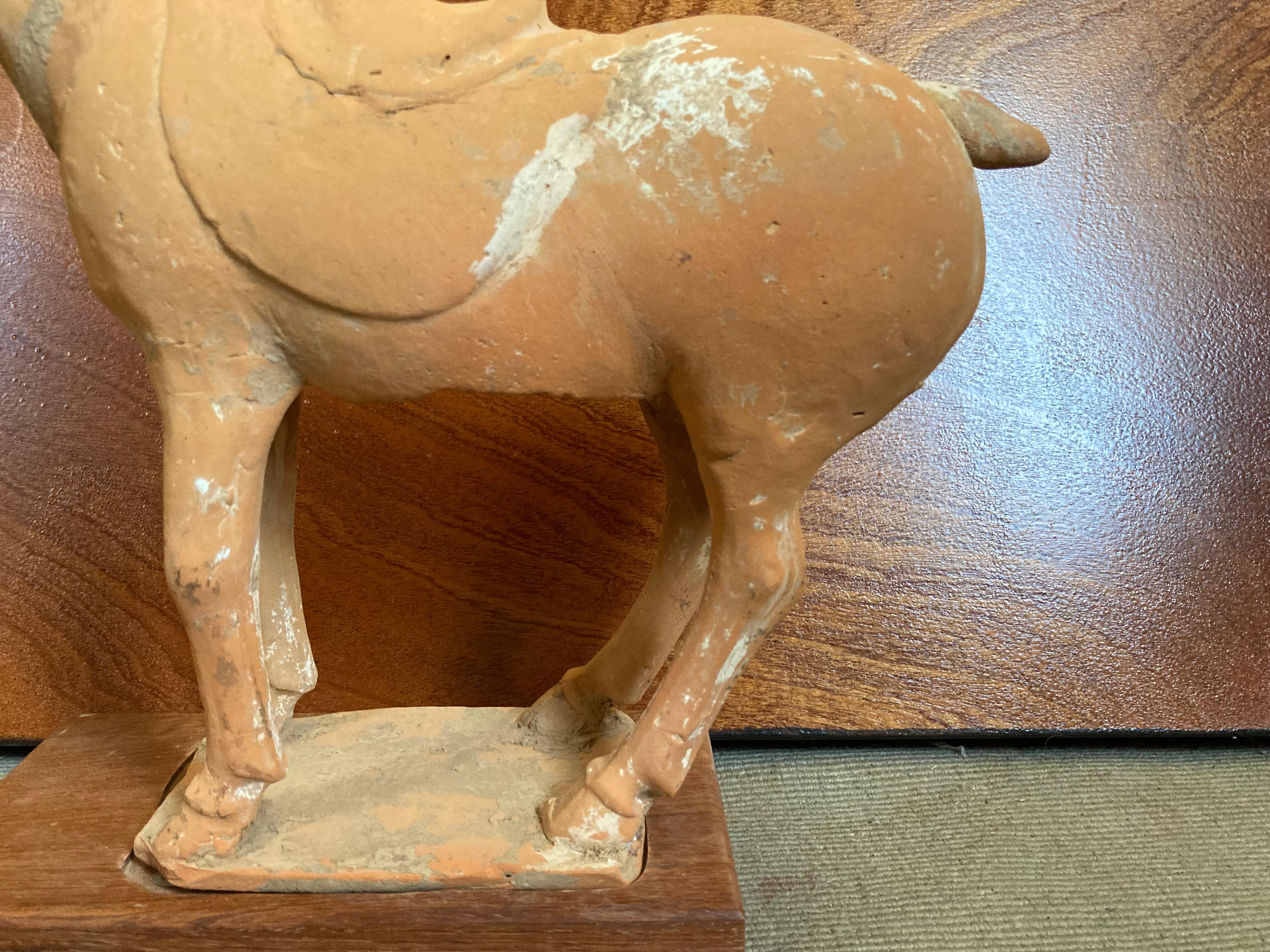 Tang Dynasty Pferd mit Diener, A.D. 609 - 907, vollständige Dokumente, hervorragender Zustand im Angebot 1