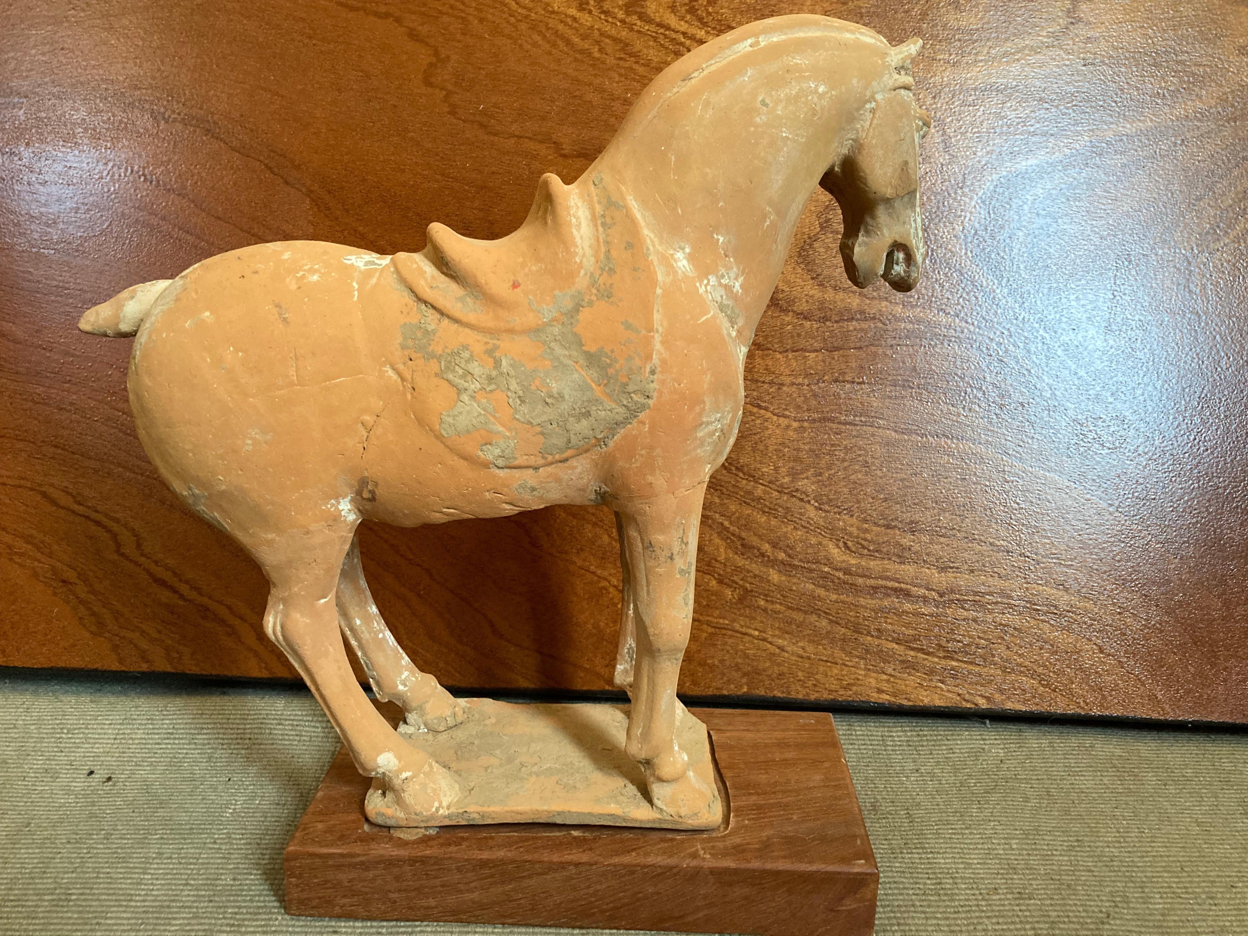 Cavallo della dinastia Tang con attendente, 609 - 907 d.C., documenti completi, condizioni eccellenti 2