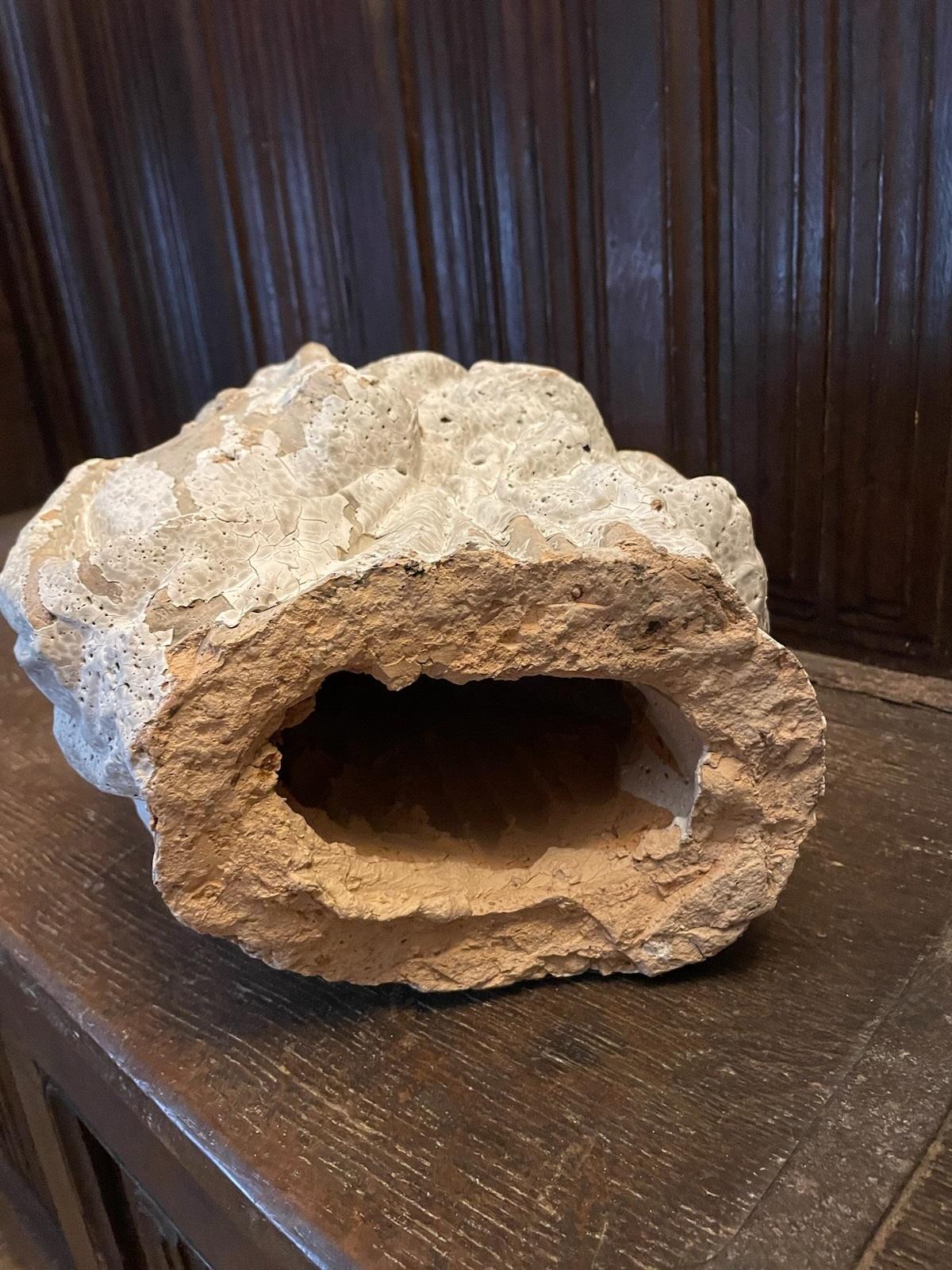 Christ à l'agneau en terre cuite en vente 7