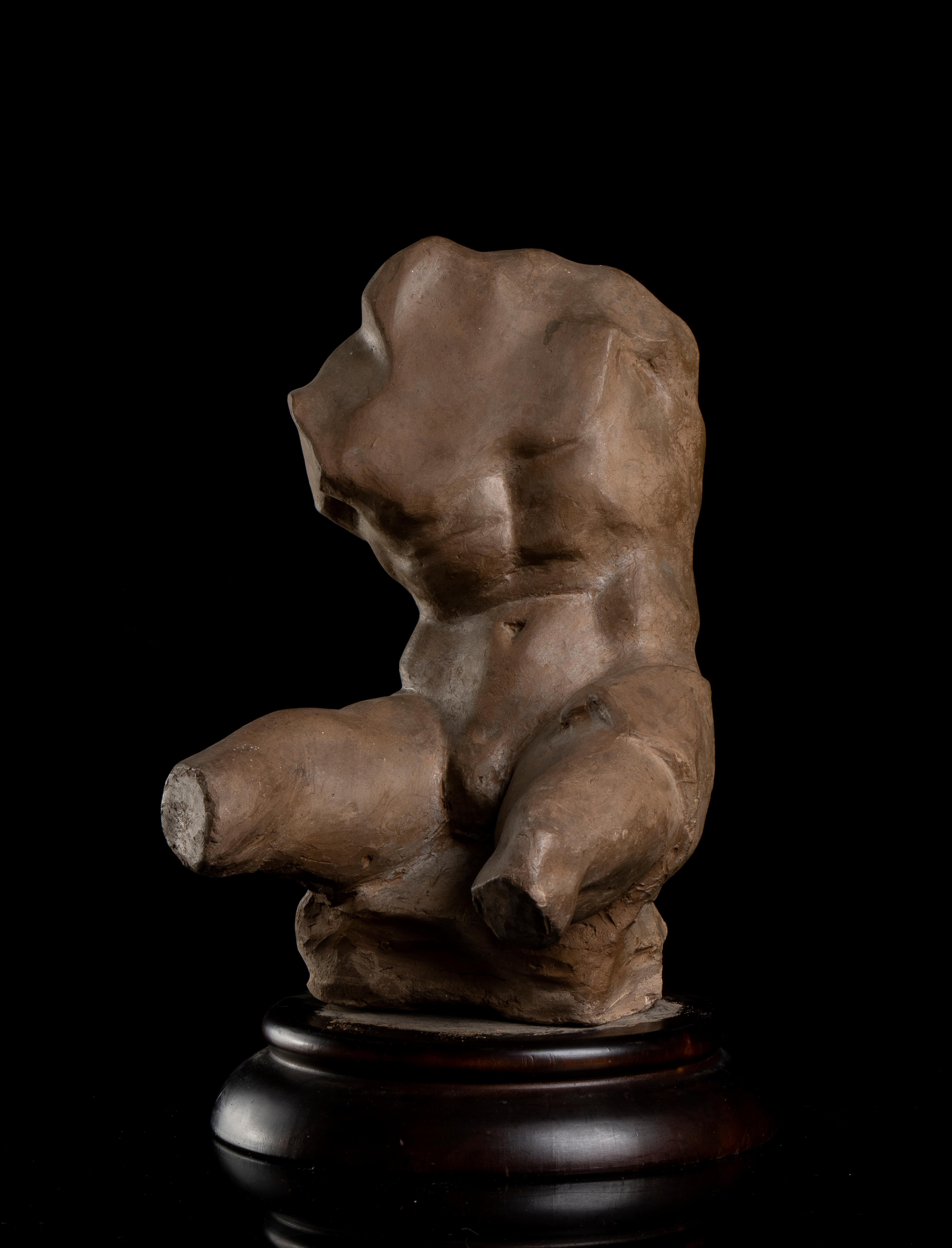 Terracotta Sculpture Torso Belvedere Vatican Museum Grand Tour Style 19th Italy 9