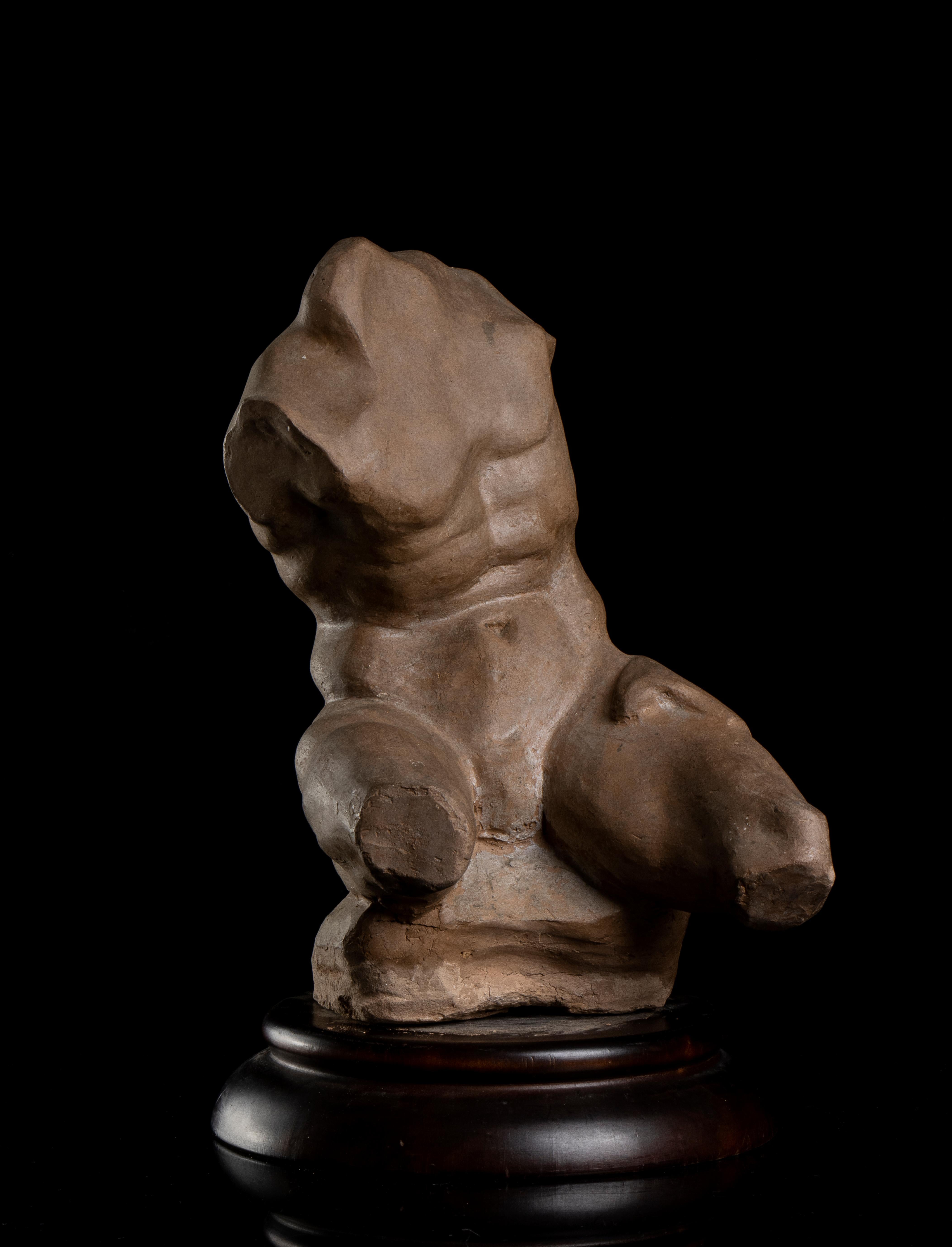 Terracotta Sculpture Torso Belvedere Vatican Museum Grand Tour Style 19th Italy - Brown Nude Sculpture by Unknown