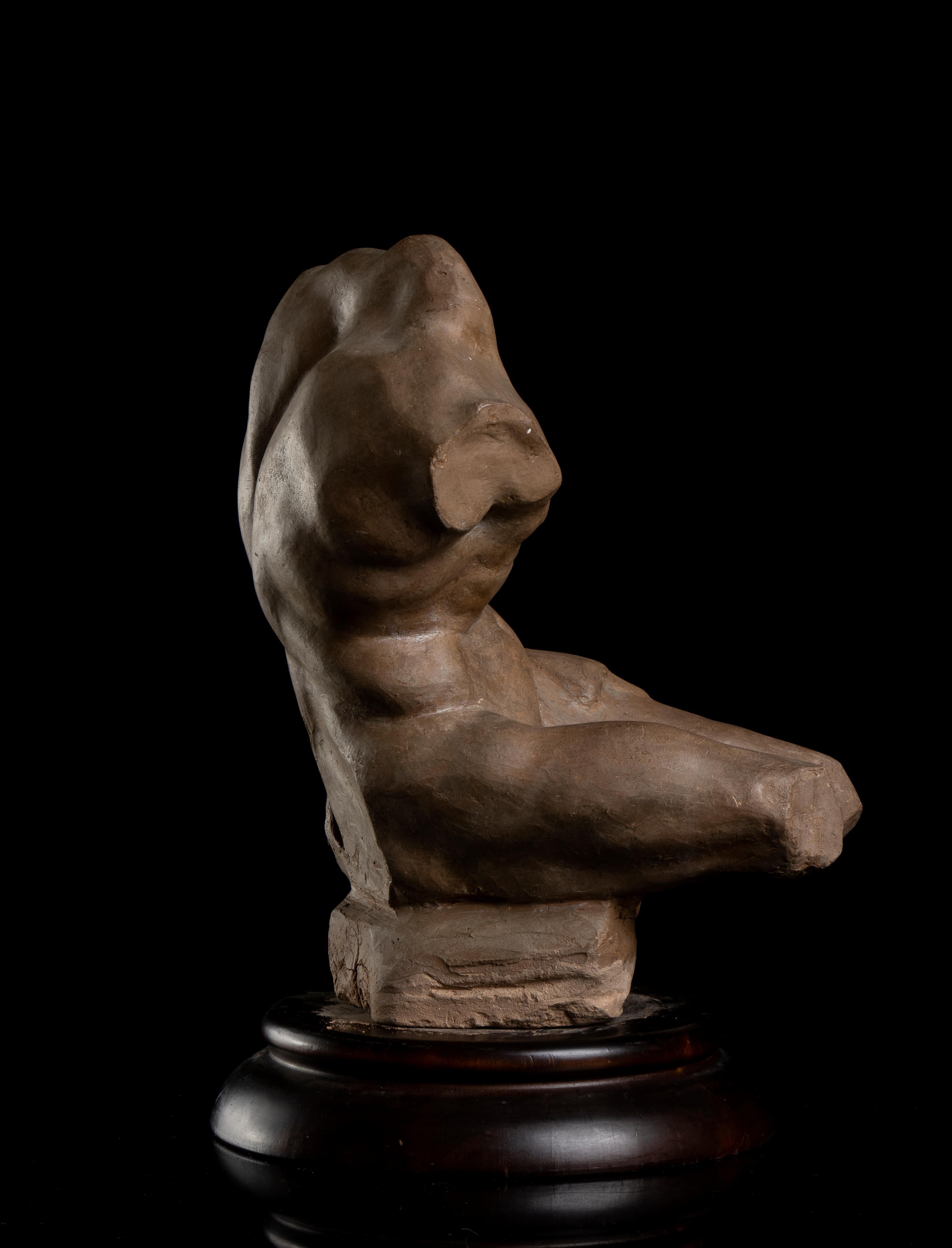 Terracotta Sculpture Torso Belvedere Vatican Museum Grand Tour Style 19th Italy 1
