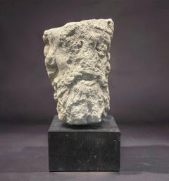 Testa Coronata medievale in Pietra Calcarea Francia XIII-XIV secolo