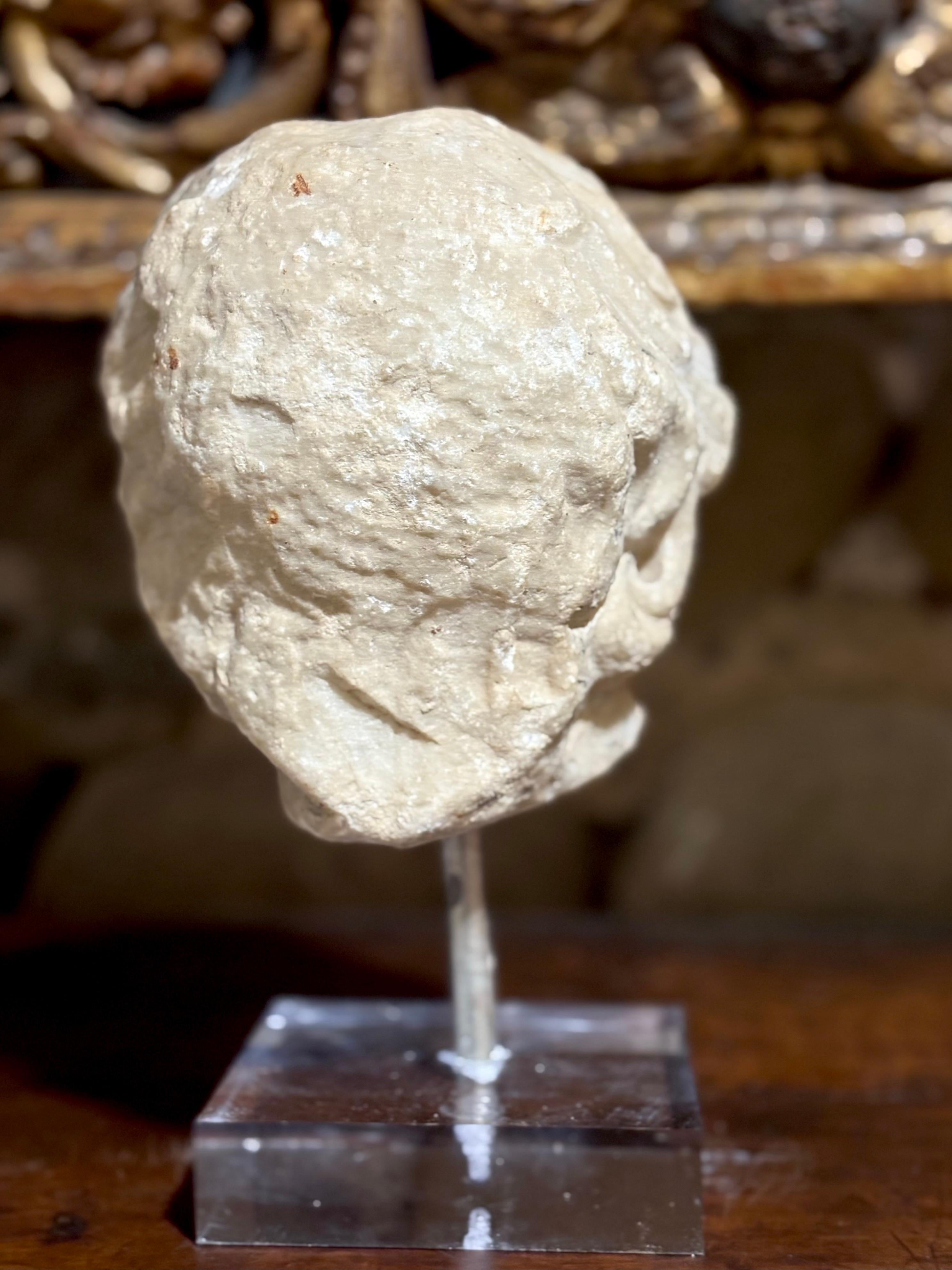 Kopf eines Putto in römischem Barockmarmor 17. Jahrhundert Italienische Schule im Angebot 6