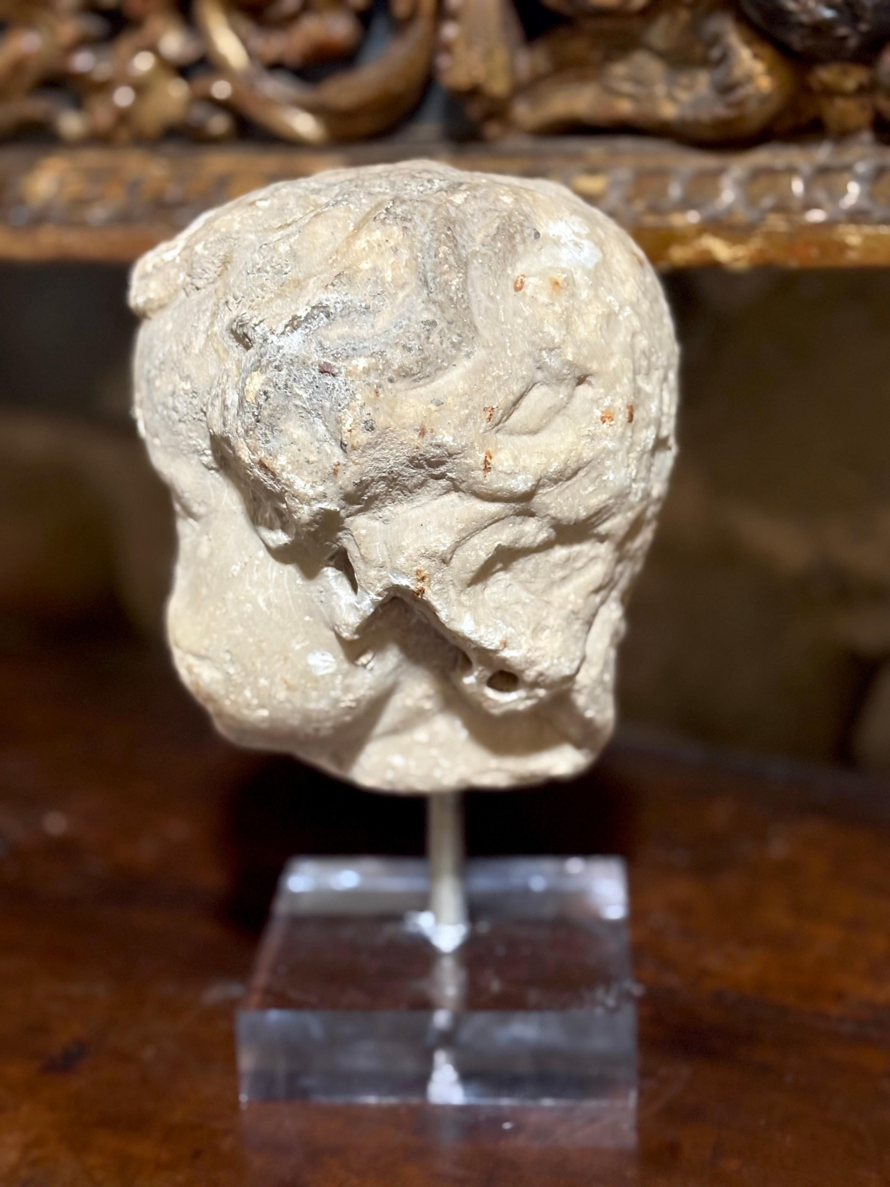 Kopf eines Putto in römischem Barockmarmor 17. Jahrhundert Italienische Schule im Angebot 5