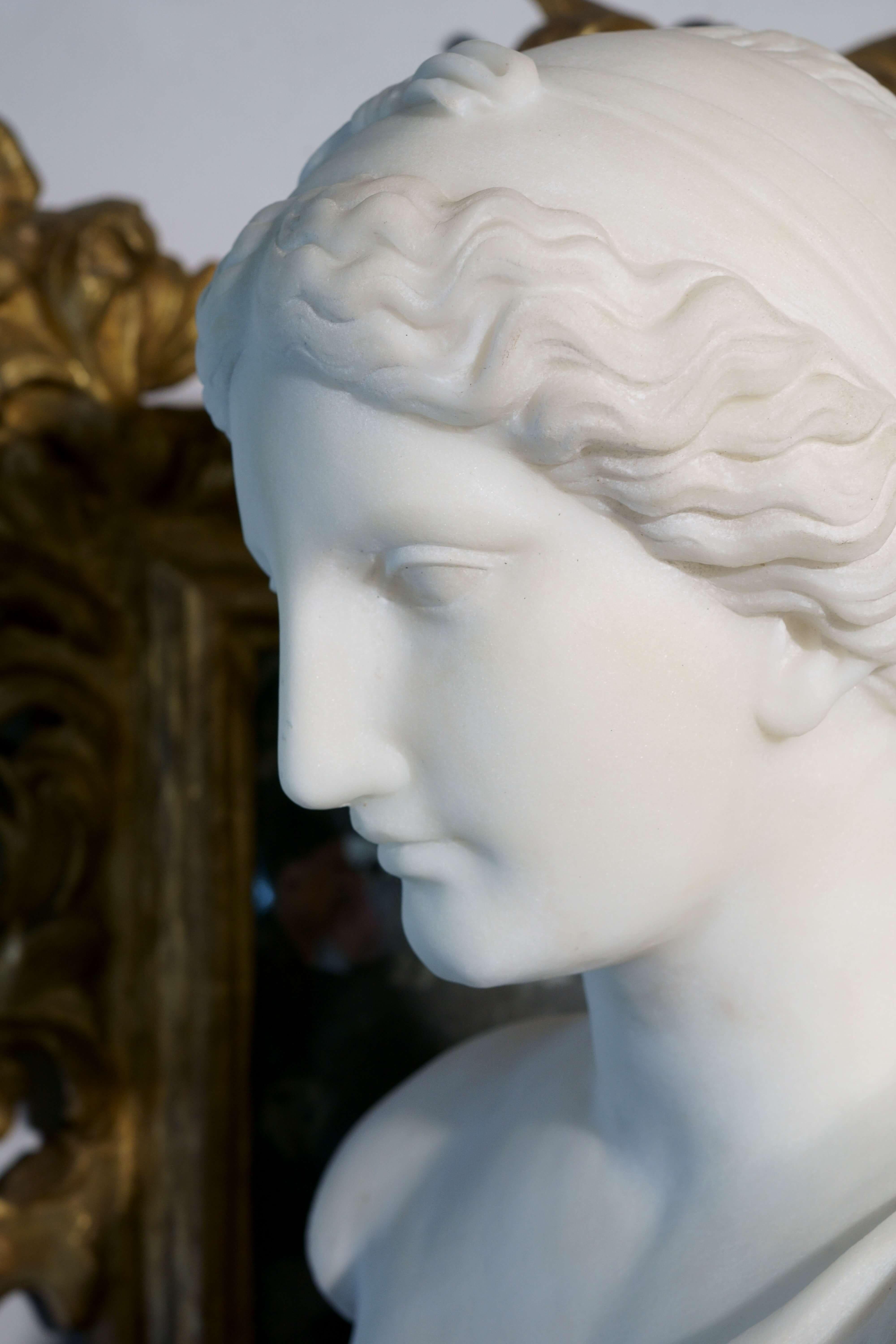 Testa Neoclassica in Marmo dell' Afrodite di Cnidia circa 1830 Busto Scultura 2