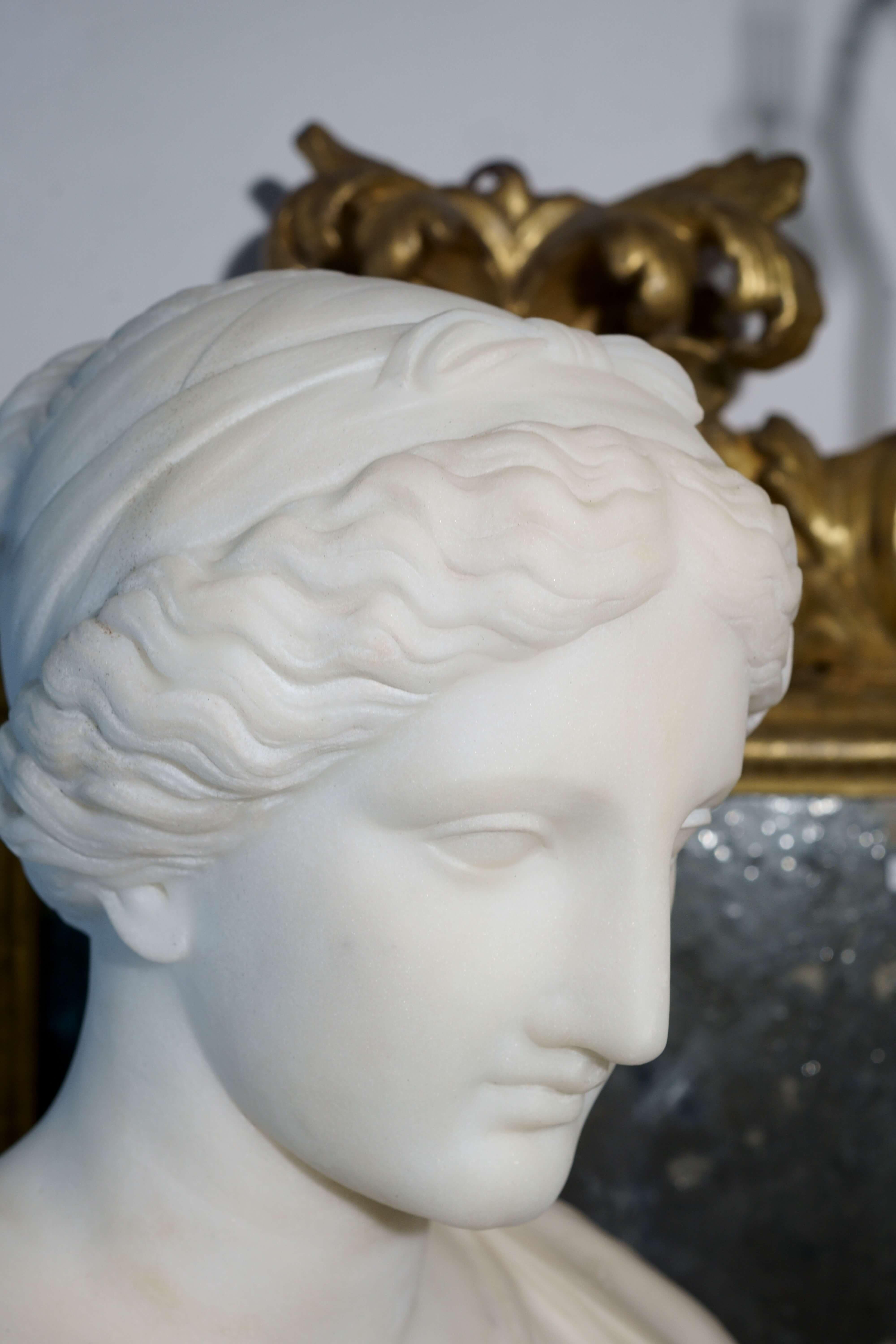 Testa Neoclassica in Marmo dell' Afrodite di Cnidia circa 1830 Busto Scultura 3