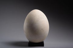 The Largest Known Egg