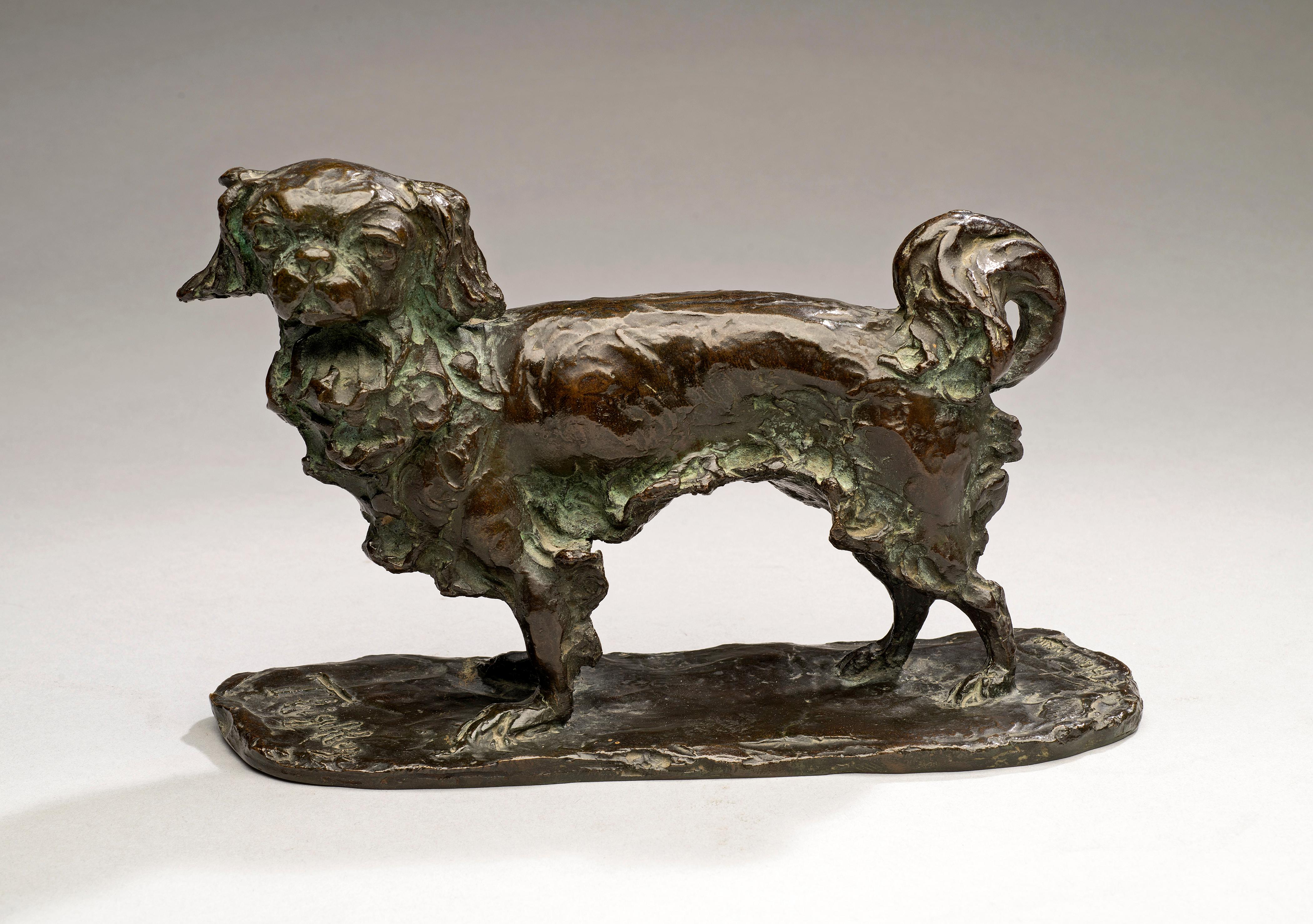 Antike Bronze Hund Porträt eines Cavalier King Charles 