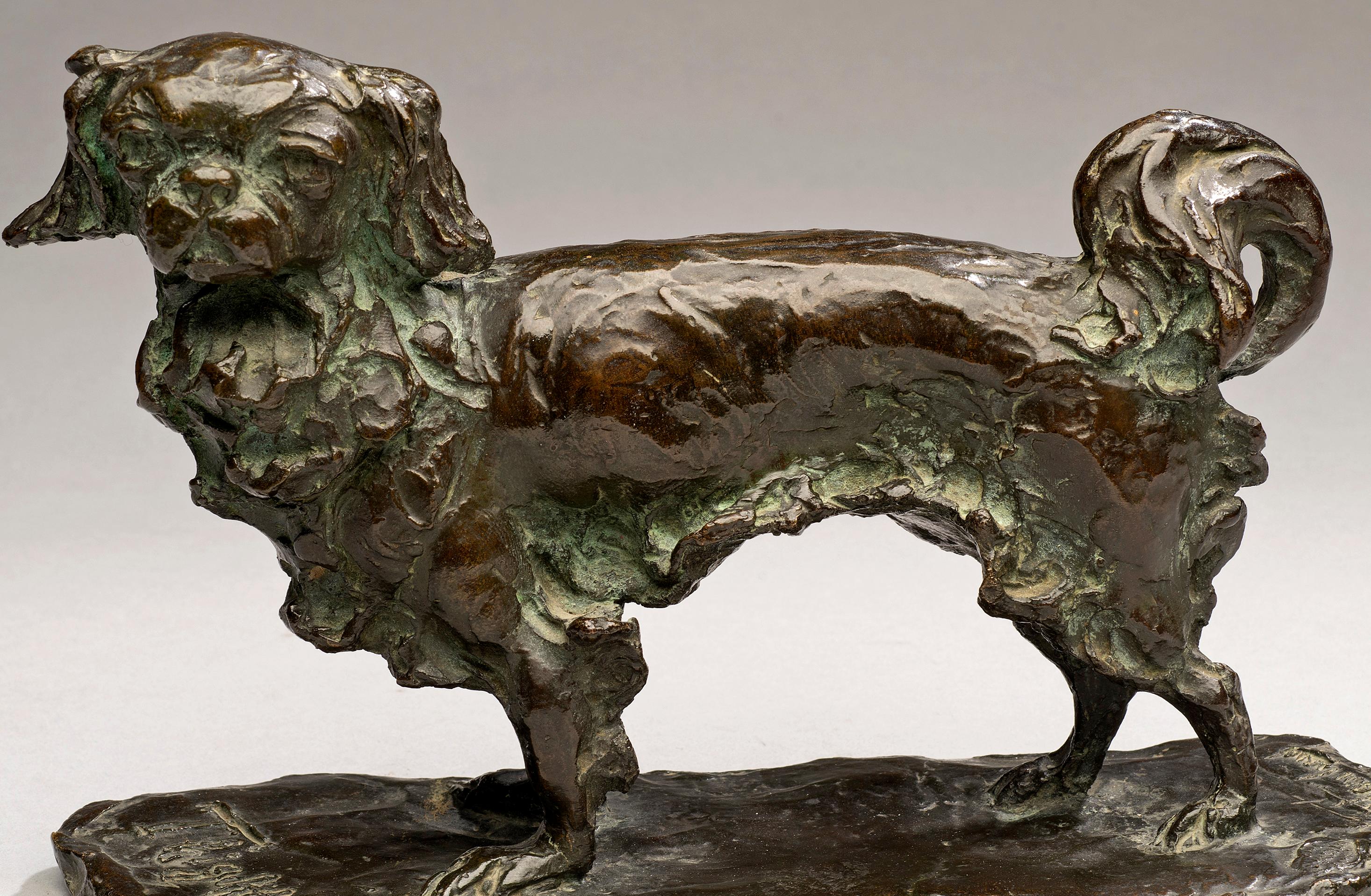 Figurative Sculpture Unknown - Portrait antique en bronze d'un chien Cavalier King Charles "Thigley" circa 1905