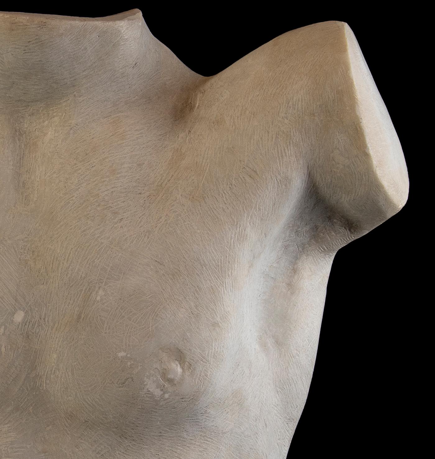 Torso Marble Sculpture of a Man or Athlete Roman Classical Style Italian 20th  5