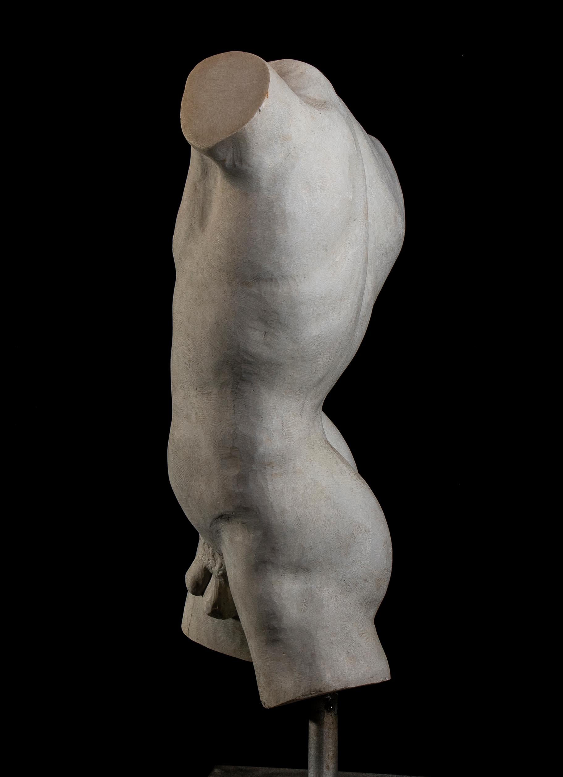 roman marble torso