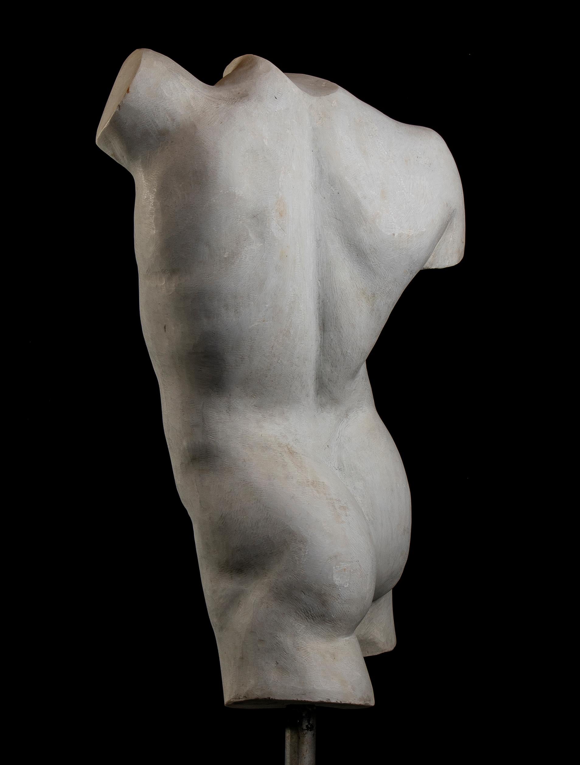 Torso Marble Sculpture of a Man or Athlete Roman Classical Style Italian 20th  - Black Nude Sculpture by Unknown
