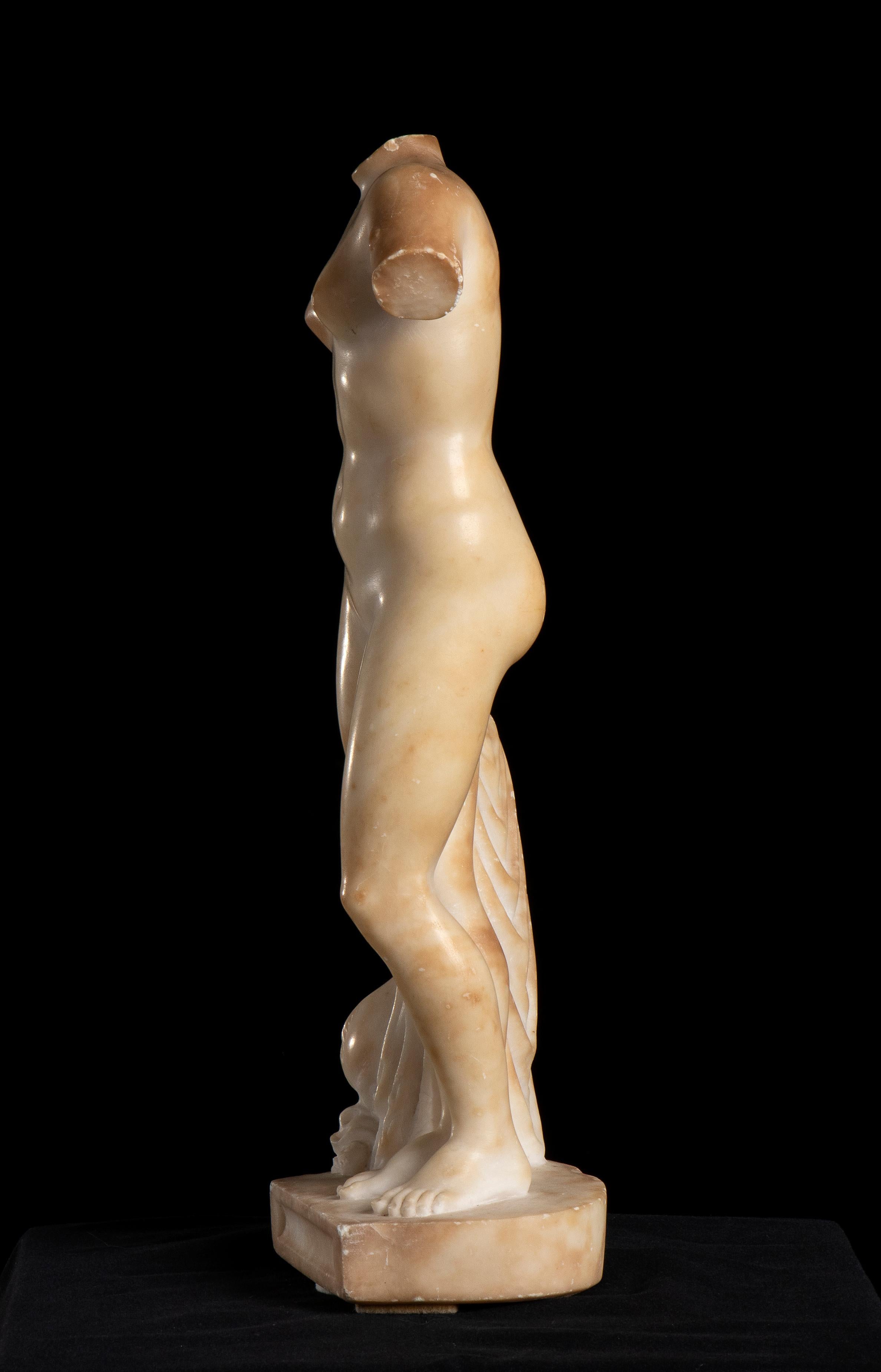 aphrodite torso statue