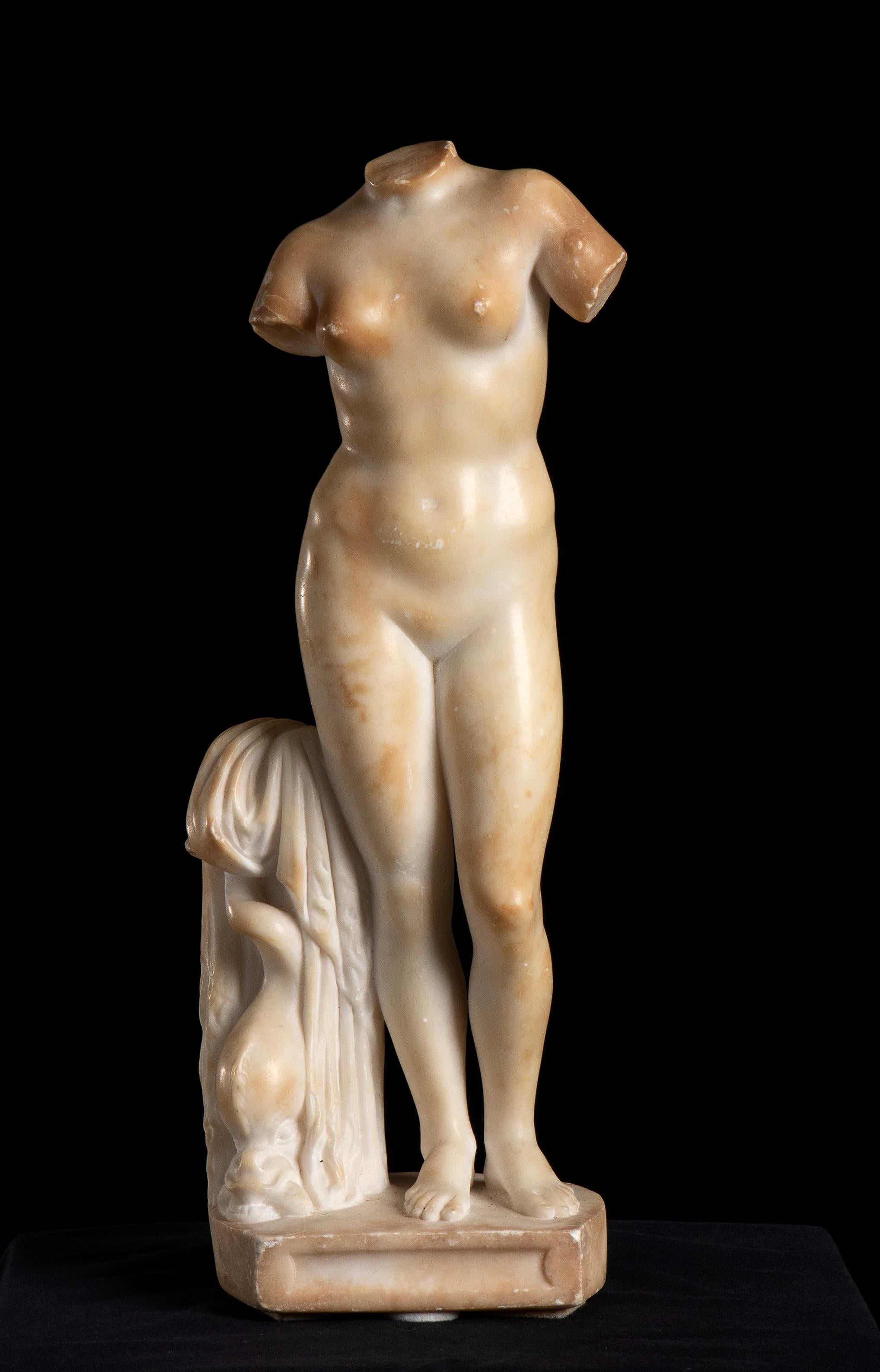 Unknown Nude Sculpture - Torso Sculpture of Aphrodite in White Alabaster Marble Italian 19th Century 