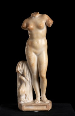 Torso Sculpture of Aphrodite in White Alabaster Marble Italian 19th Century 