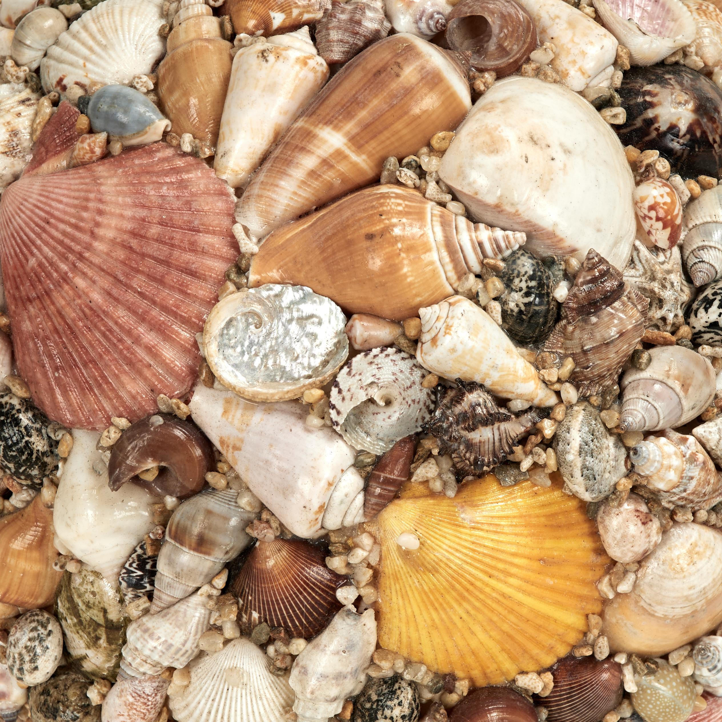 Vintage Artisan Crafted Seashell Encrusted Sphere in vendita 6