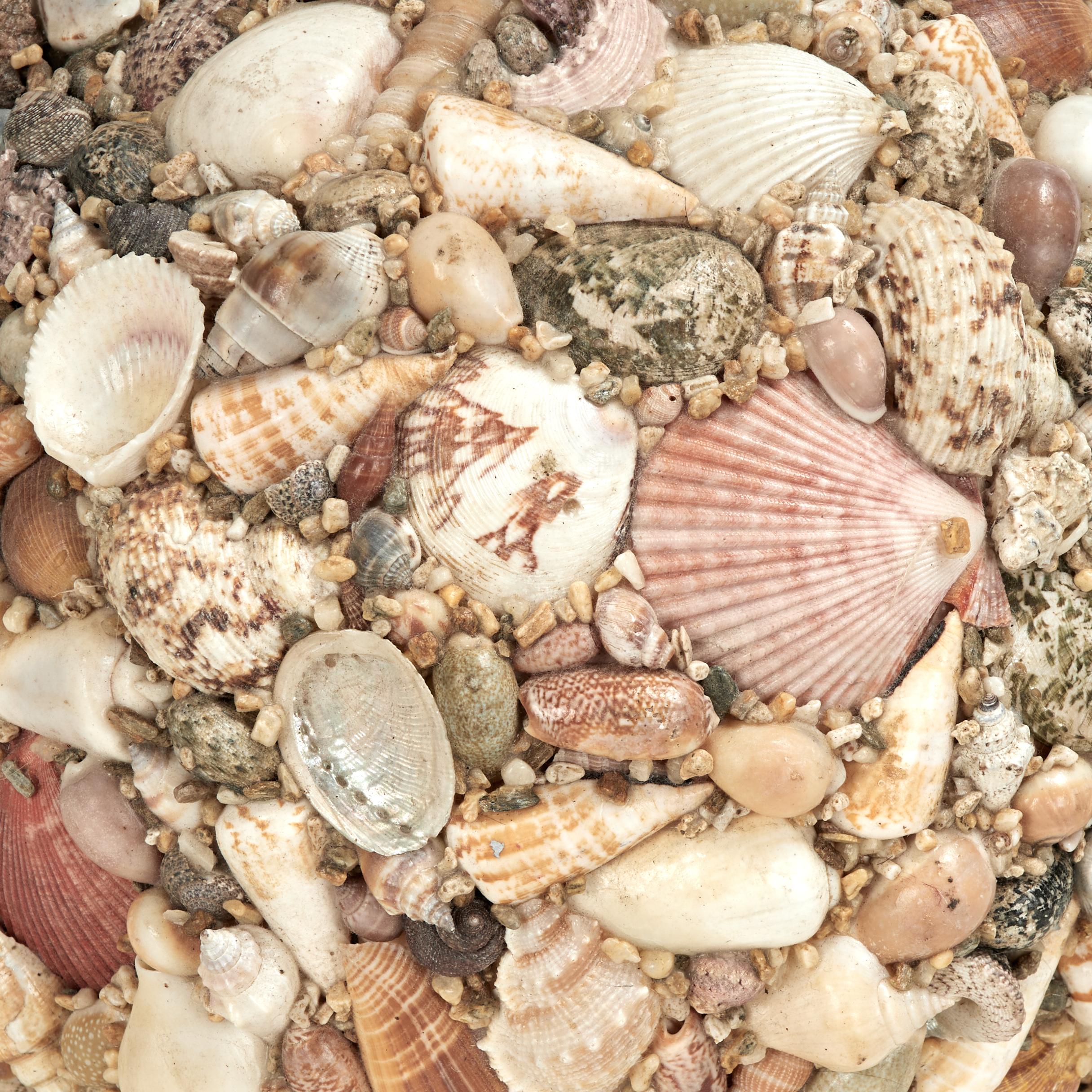 Vintage Artisan Crafted Seashell Encrusted Sphere - Sculpture Astratto di Unknown