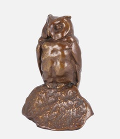 Watching Owl on Rock / - The Library Guardian -