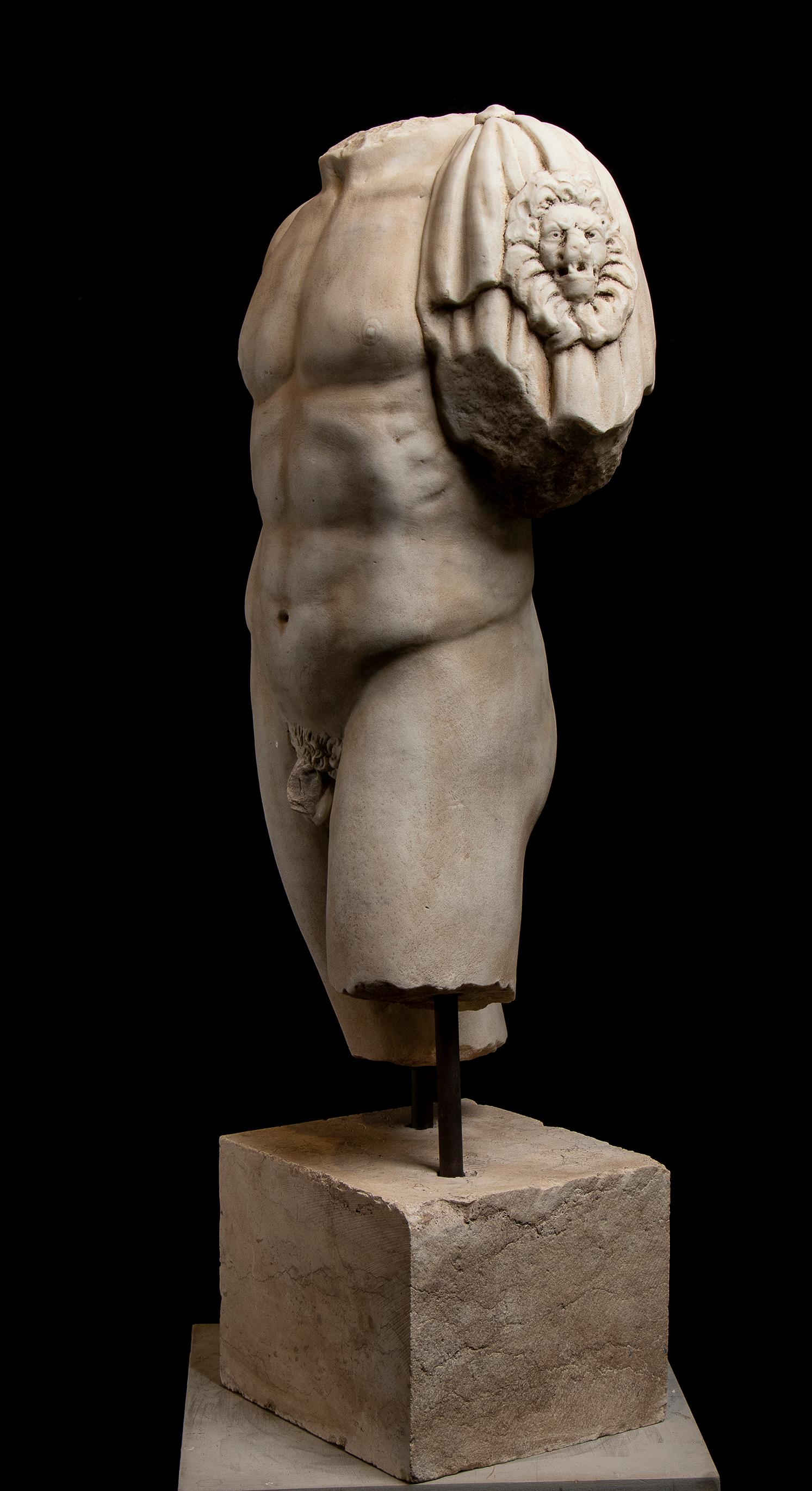 an important and impressive white marble sculpture of Hercules as torso. The figure standing in contrapposto position wearing on the left shoulder a rest of a drapery with a sculpted lion of head as symbol of Hercules. 
Probably carved in the