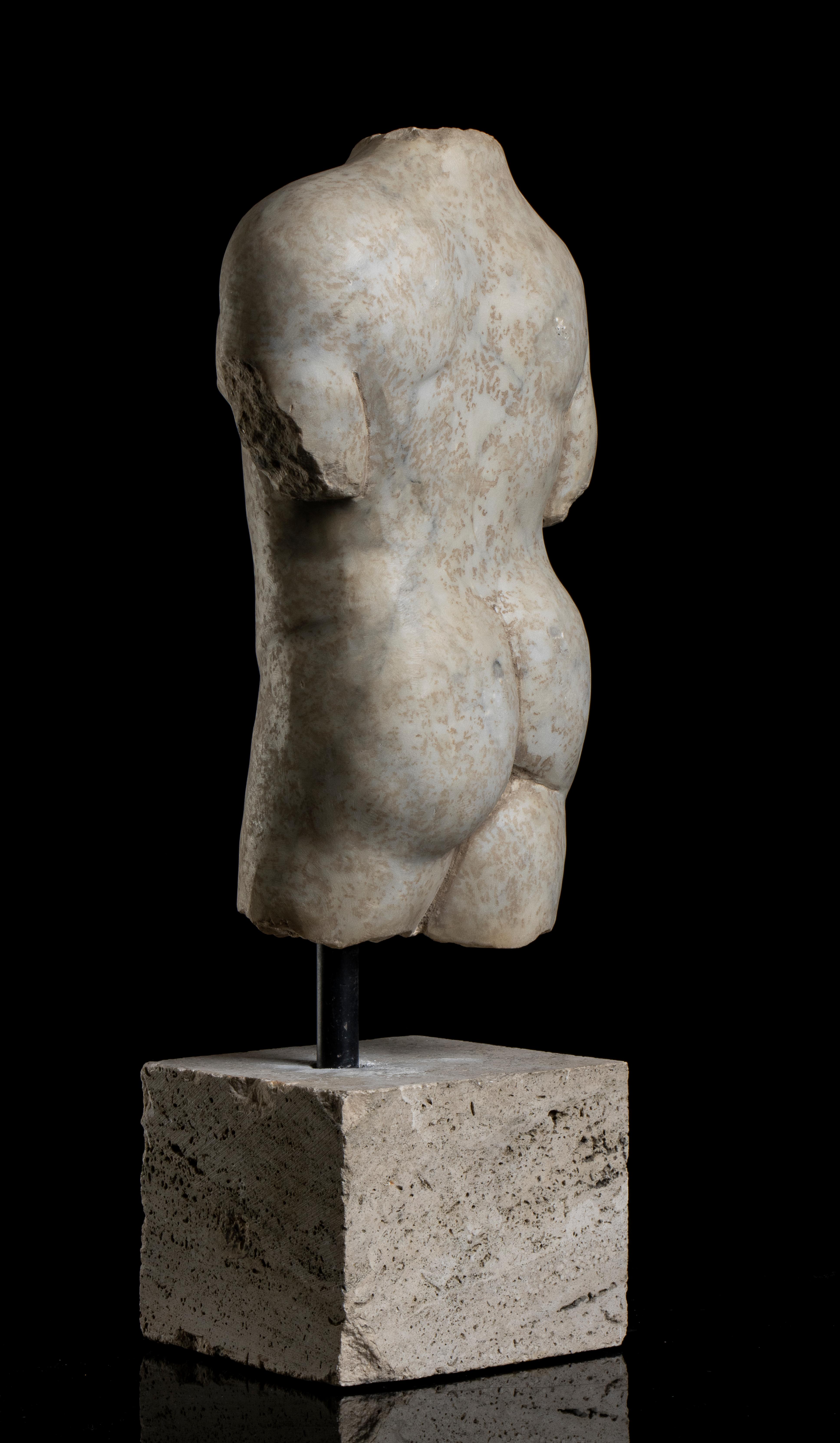 Blanc Statuaire Marbre Vieilli Torse Homme Sculpture Classique Grecque Romaine Grand Tour  en vente 7