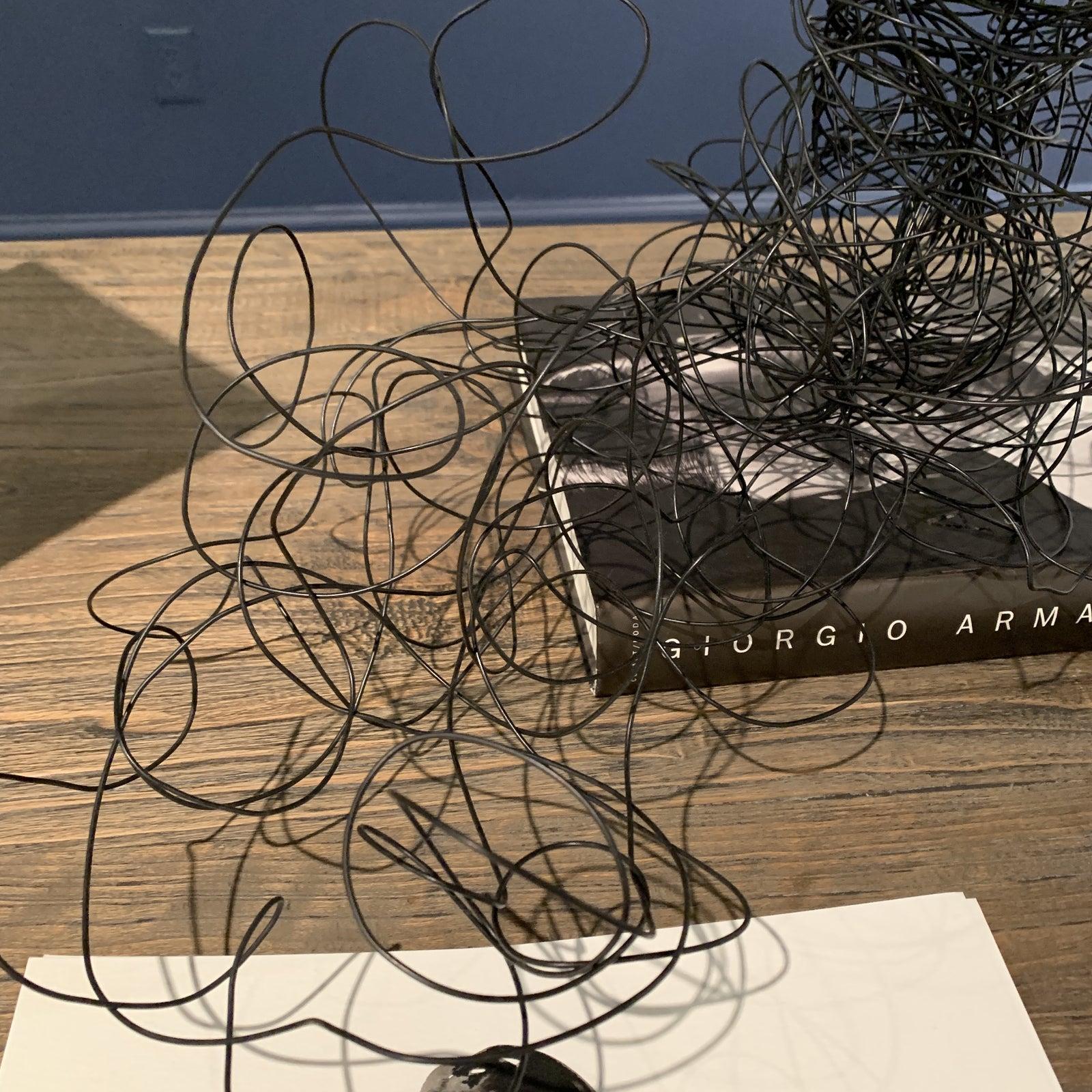 Wire Sculpture  3