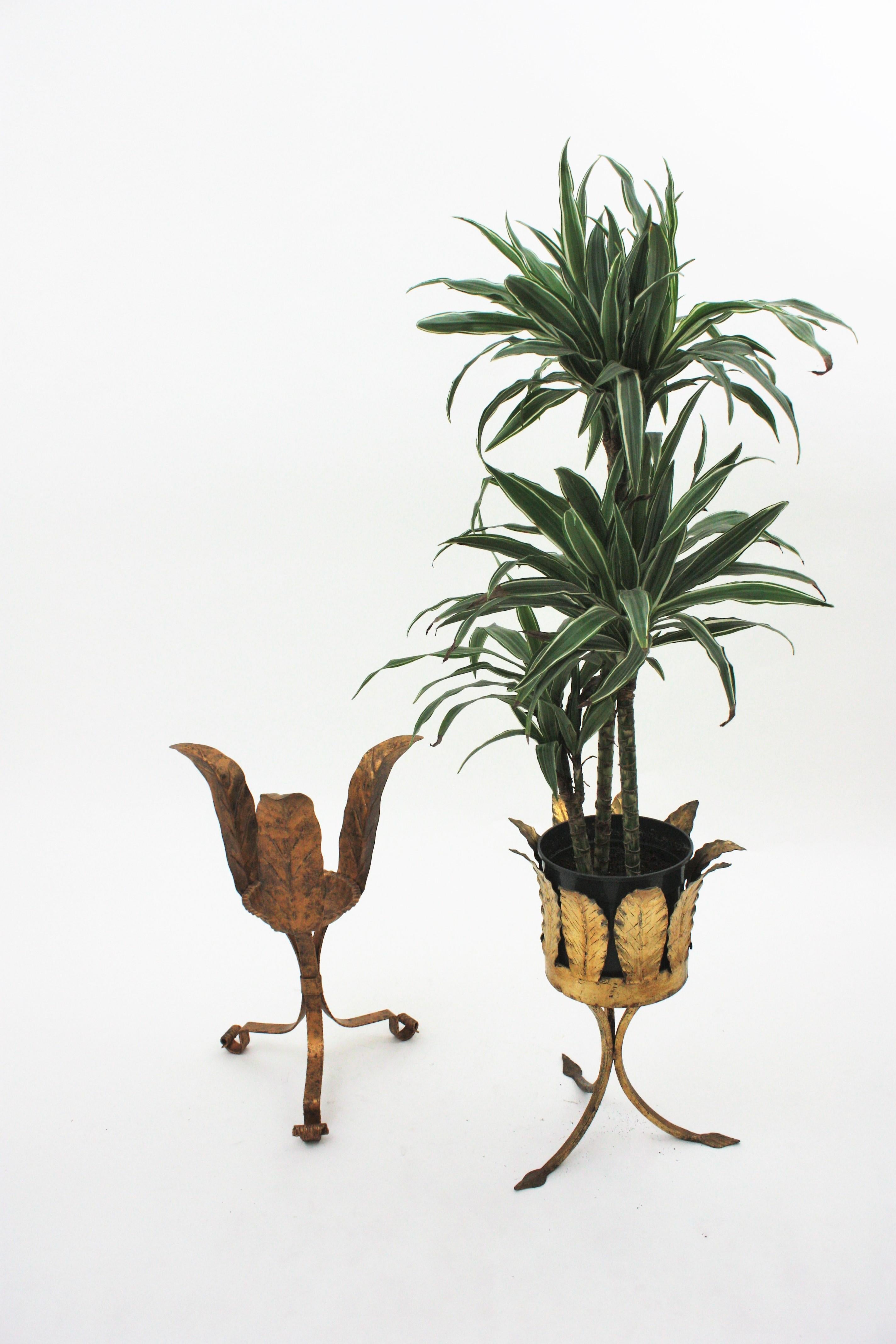Unmatching Pair of Plant Stands or Jardinières in Gilt Iron For Sale 12