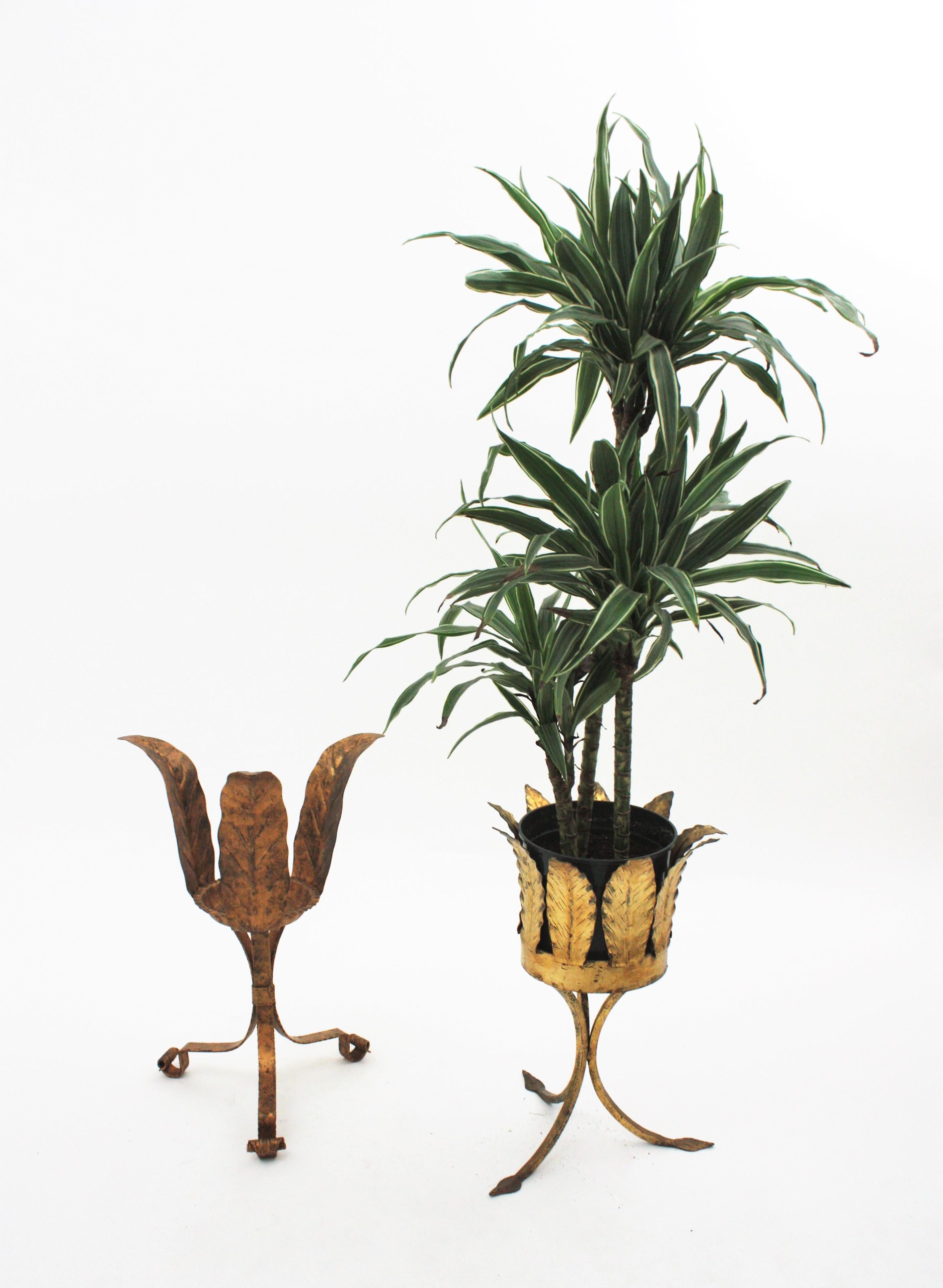 Spanish Unmatching Pair of Plant Stands or Jardinières in Gilt Iron For Sale