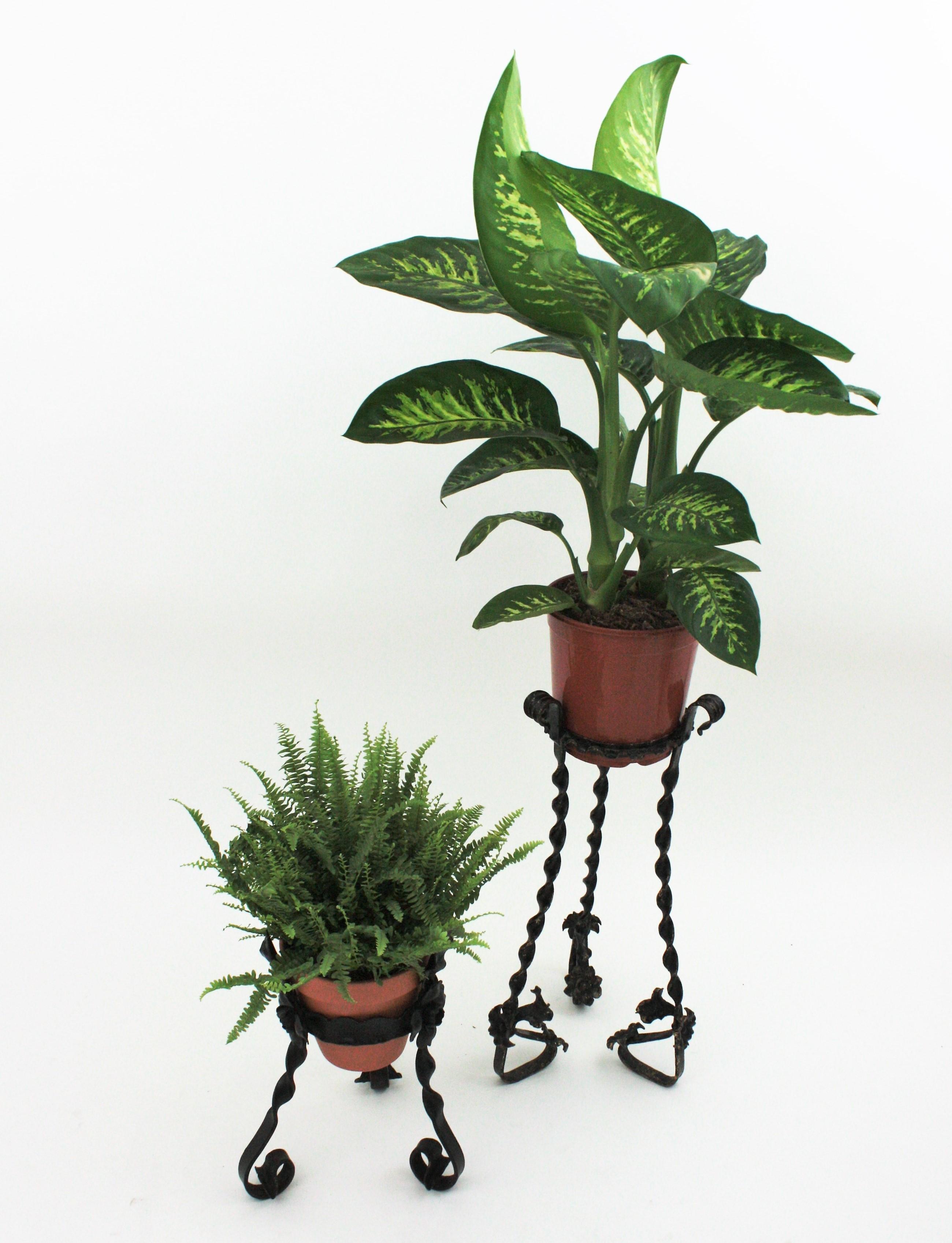 Unmatching Pair of Spanish Wrought Iron Plant Stands / Planters 4