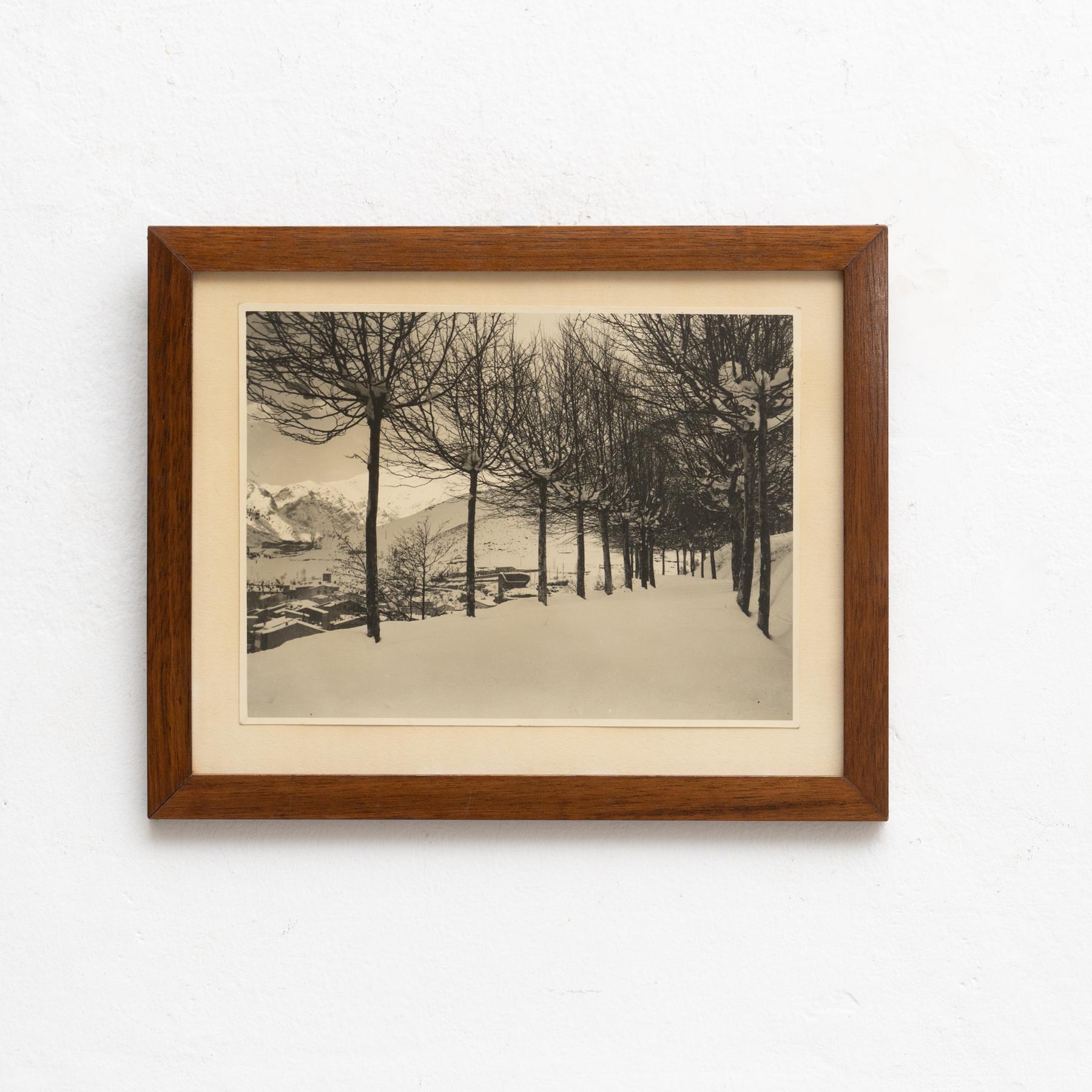 Fotografía enmarcada sin firmar, hacia 1960 Moderno de mediados de siglo en venta