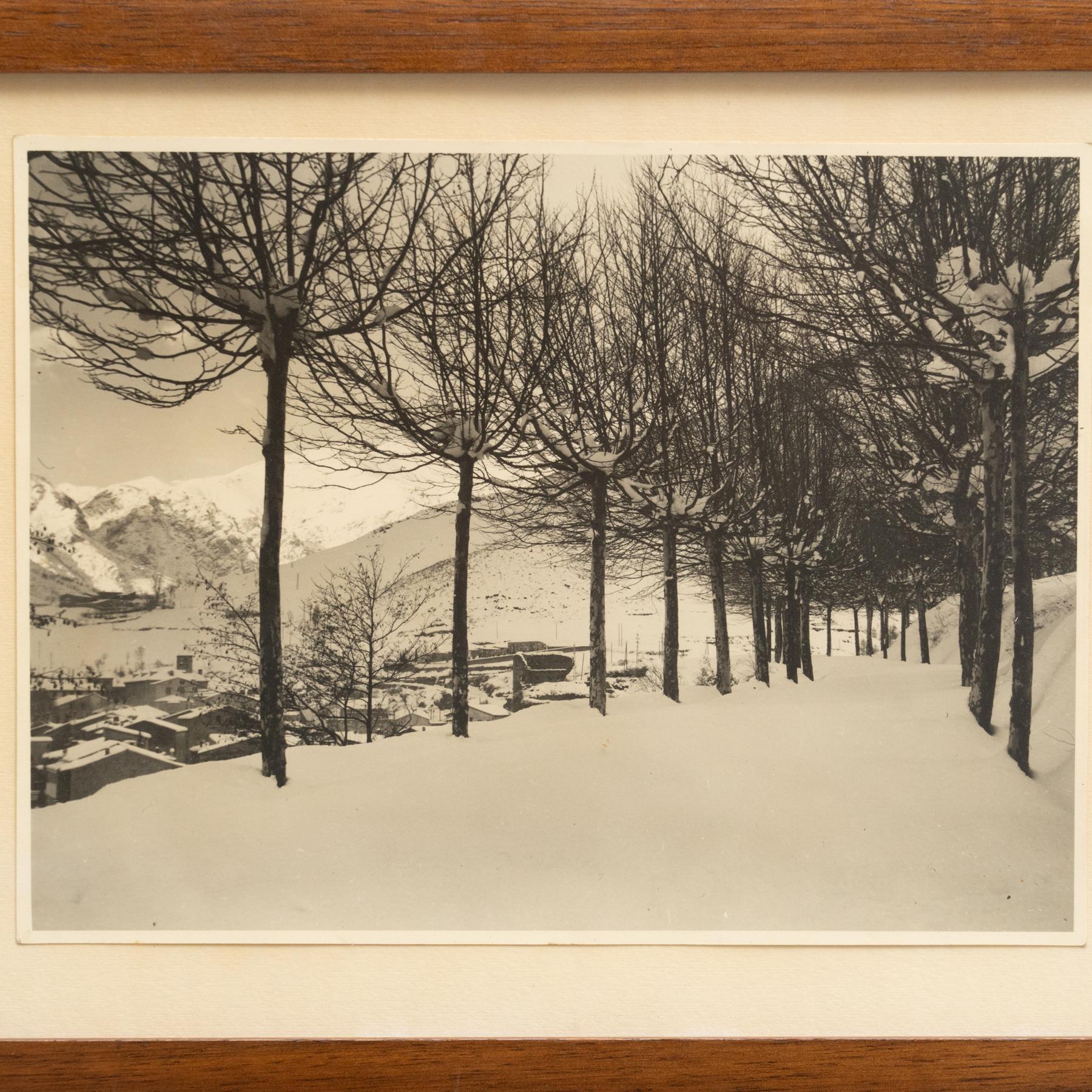Fotografía enmarcada sin firmar, hacia 1960 Español en venta