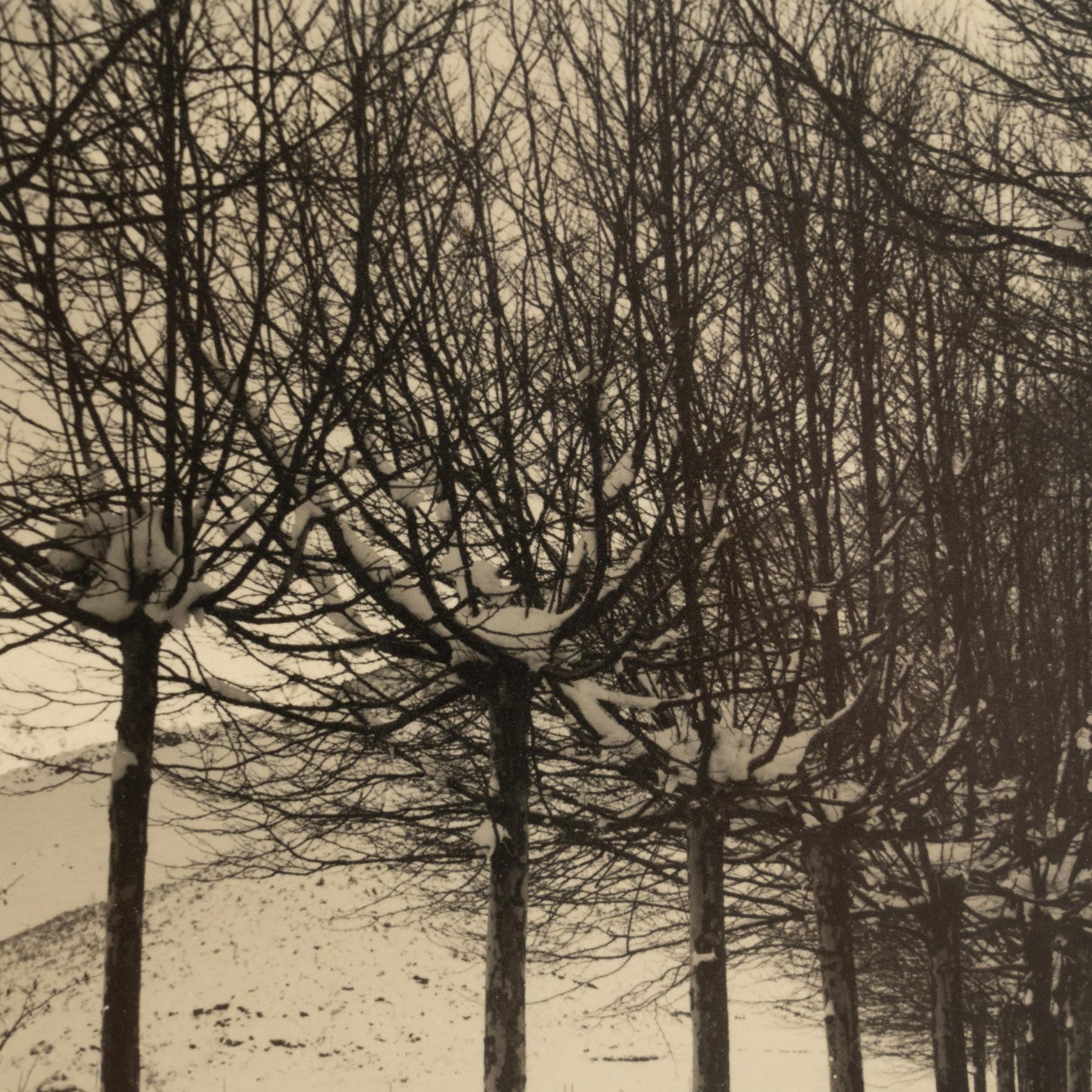 Fotografía enmarcada sin firmar, hacia 1960 Papel en venta