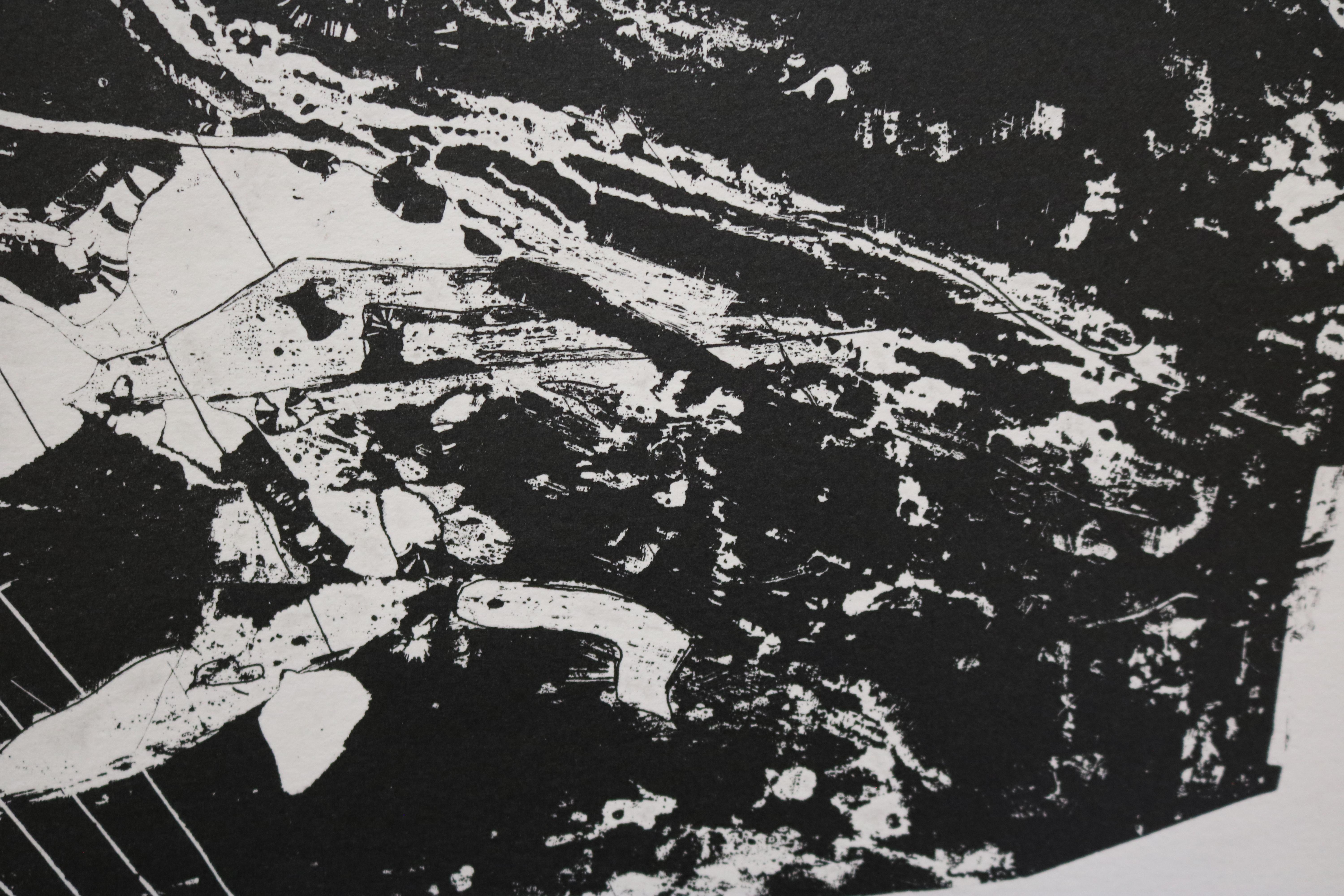 UNTITLED 11/15 Schwarz-Weiß-Lithographie von Louise Siekman (Ende des 20. Jahrhunderts) im Angebot