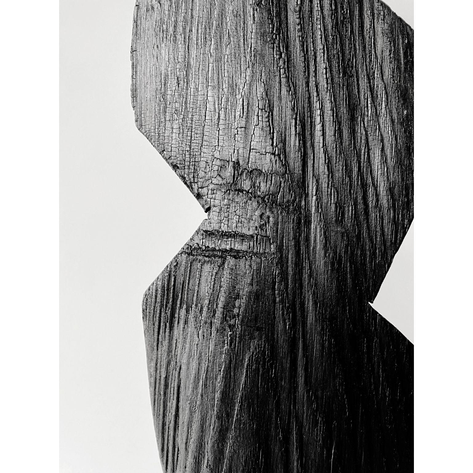 Wood Untitled 34 by Neshka